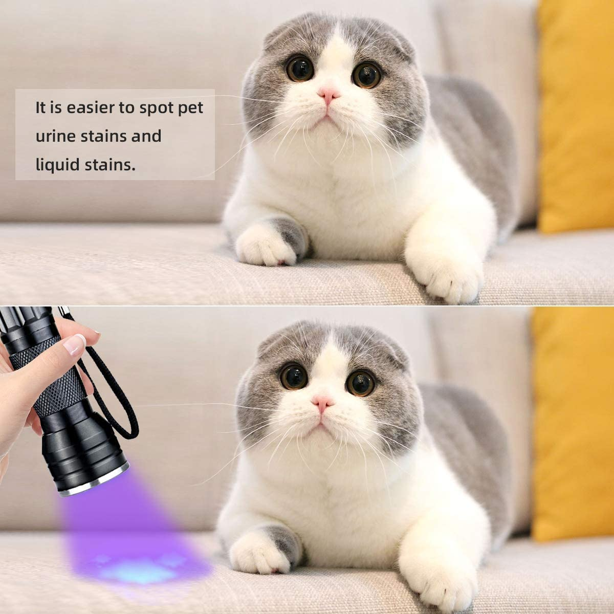 Black Light Flashlight,21 LED Lamp Beads UV Flash Light,Suitable for Pet Urine,Uv Light Detector for Liquid Stains (2 Black Light) image number 1