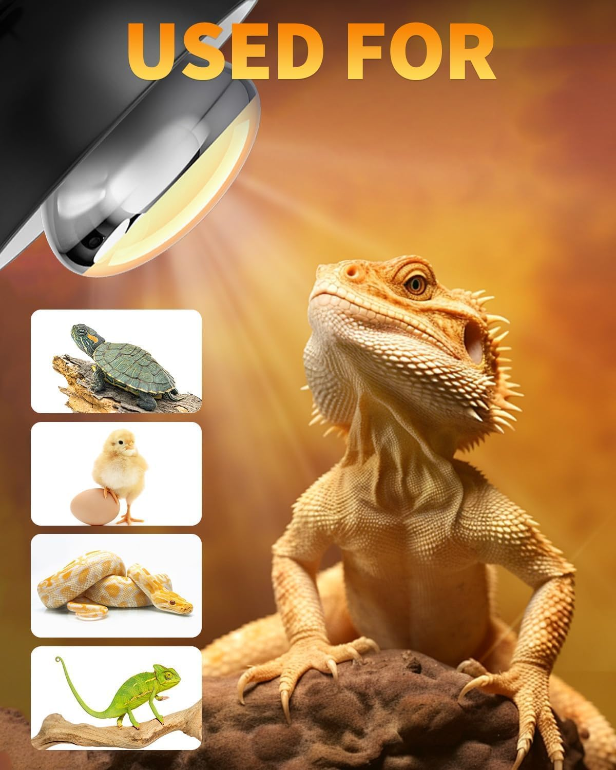 E27 UVB Reptile Heat Bulb 160W R95 Heat Lamp AC220-240V for Reptiles Amphibians, Bearded Dragons, Geckos, Snakes, Turtles, Tortoises, Lizards, Frogs, Spiders, Small Mammals (Pack of 1) image number 3