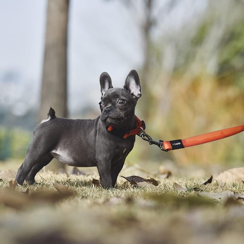 Blackdoggy Waterproof & Odor-Resistant Dog Collar, Heavy-Duty D-Ring & Adjustable Fit, All-Size Pet Collar for Small, Medium and Large Dogs (M, Orange) image number 4