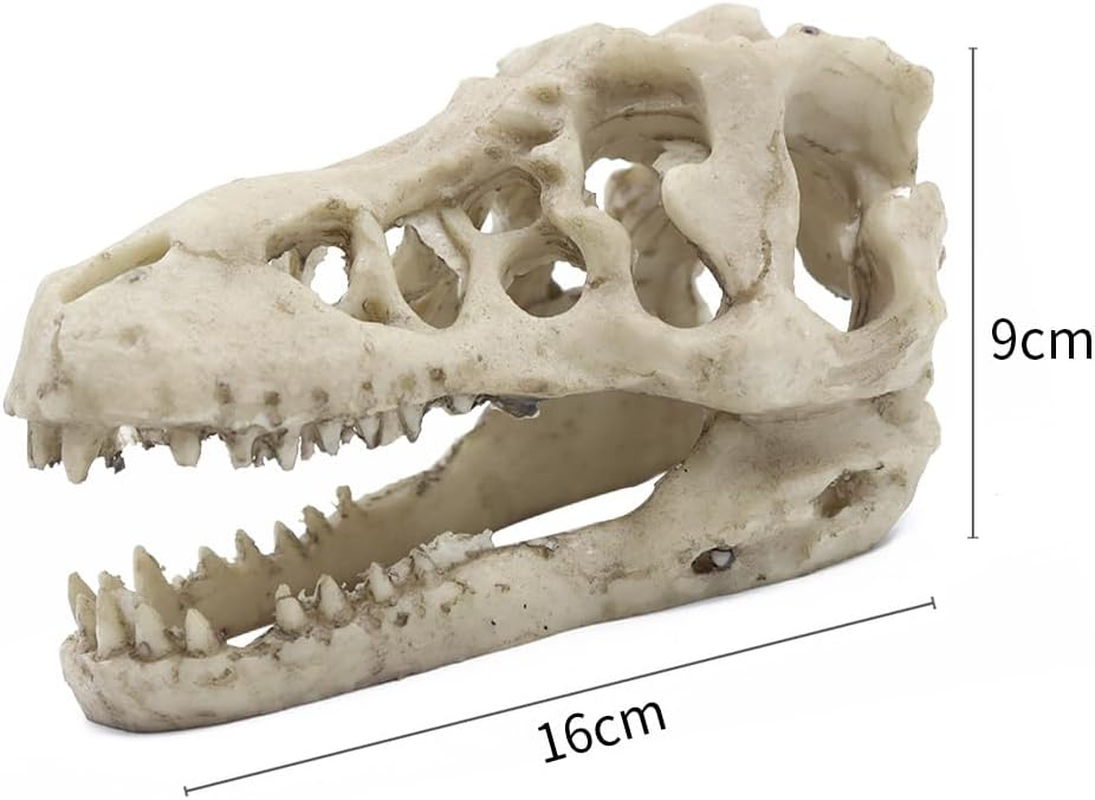 NUZAMAS Dinosaur Skull Skeleton Ornament Resin Artificial Dinosaur Skull Shape Fish Tank Ornament Cave Decoration Hiding Climbing Shelter for Fish Tortoise image number 2