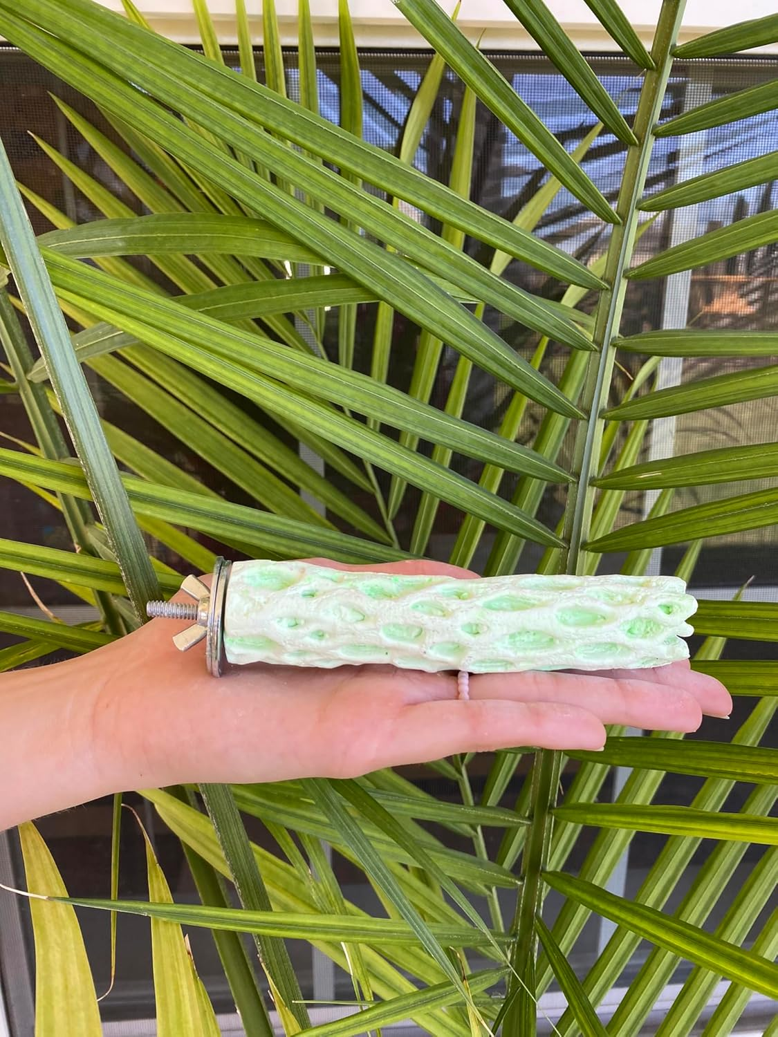 Tooty Fruity Bee Pollen Small Lime image number 6