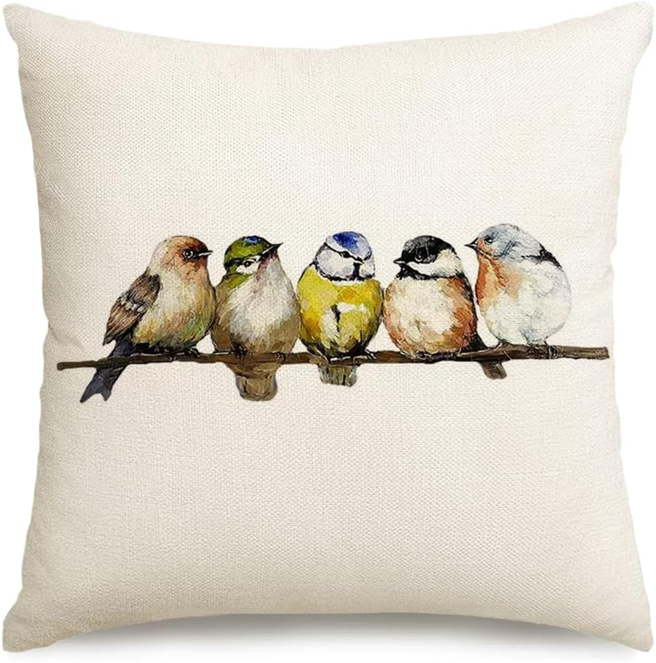 RABUSOFA Spring Summer Pillows Decorative Throw Pillows 20X20,Large Outdoor Bird Pillow Covers,Single Watercolor Hand-Painted Oil Painting Rustic Birds Square Pillow Cases for Couch Sofa