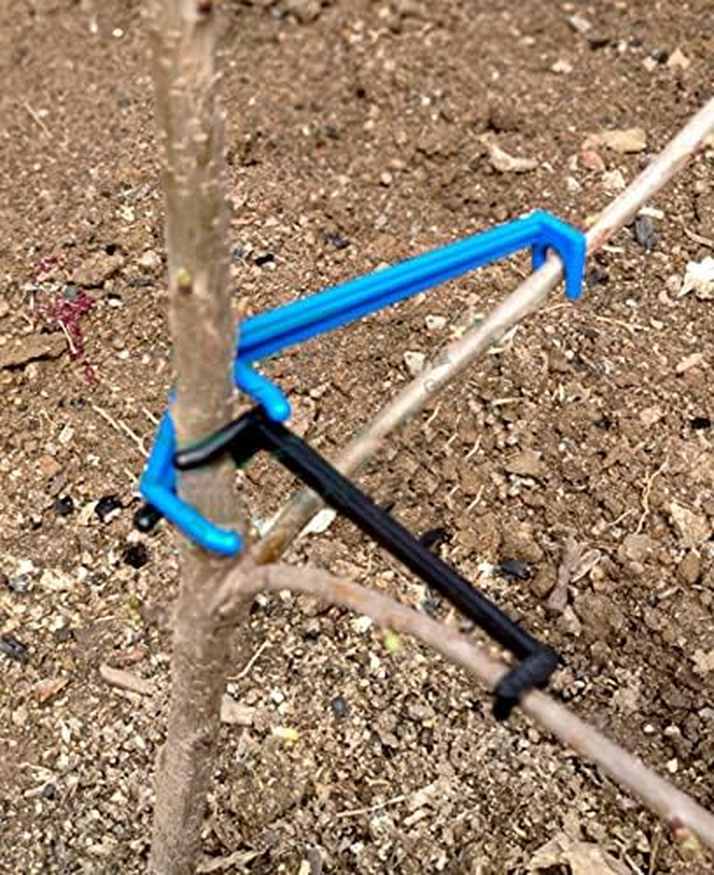 LEILIN 30 Pcs Plant Stem Trainer|Allow More Light and Air Flow|The Fruit Branch Spreader|Fruit Trees to Support the Growth of New Branches, Branch Support (30 per Pack)