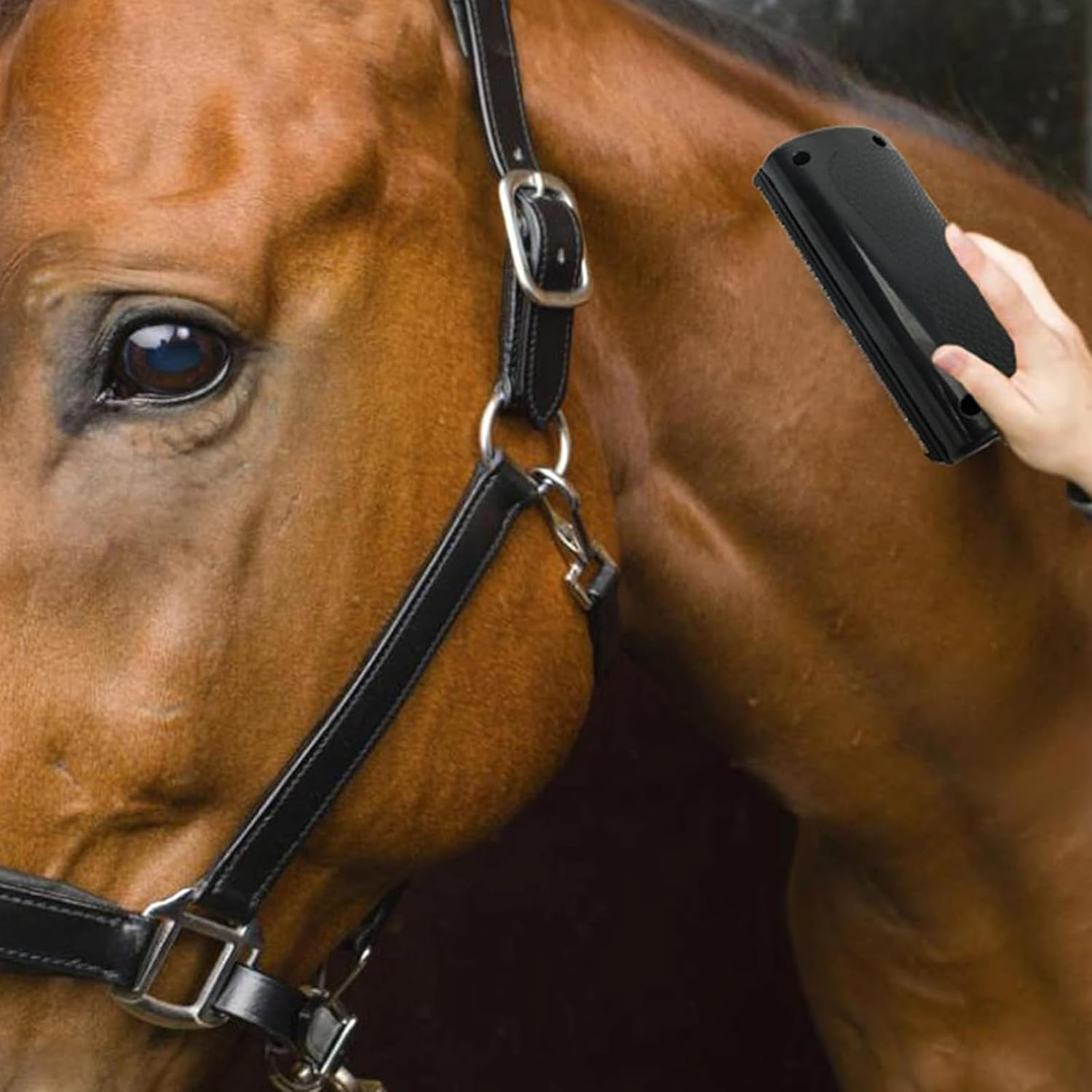 Grooming Deshedding Brush for Cats, Dogs and Horses, Hair and Fur Removal Tool