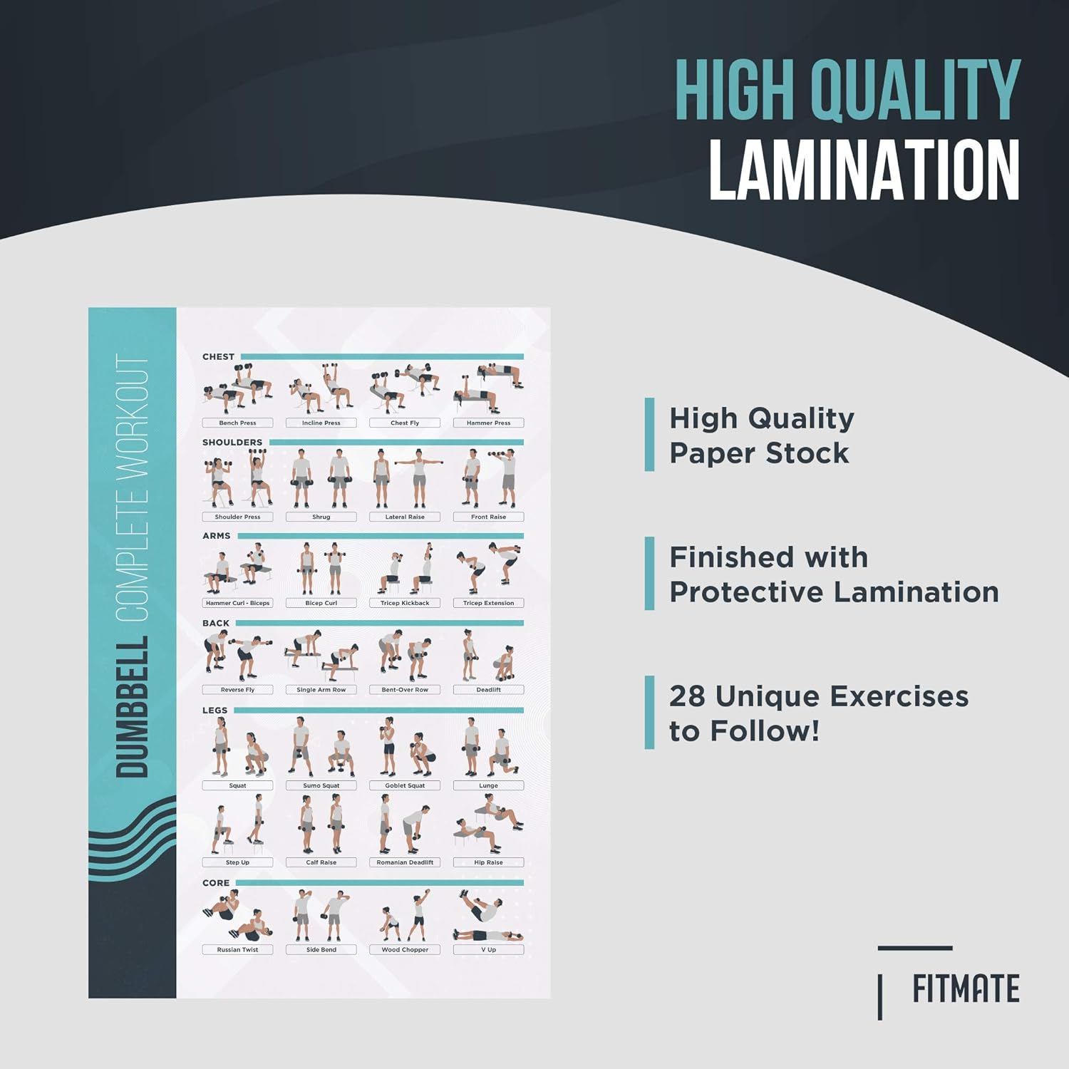 Fitmate Dumbbell Workout Exercise Poster - Workout Routine with Free Weights, Home Gym Decor, Room Guide (16.5 X 25 Inch) image number 1