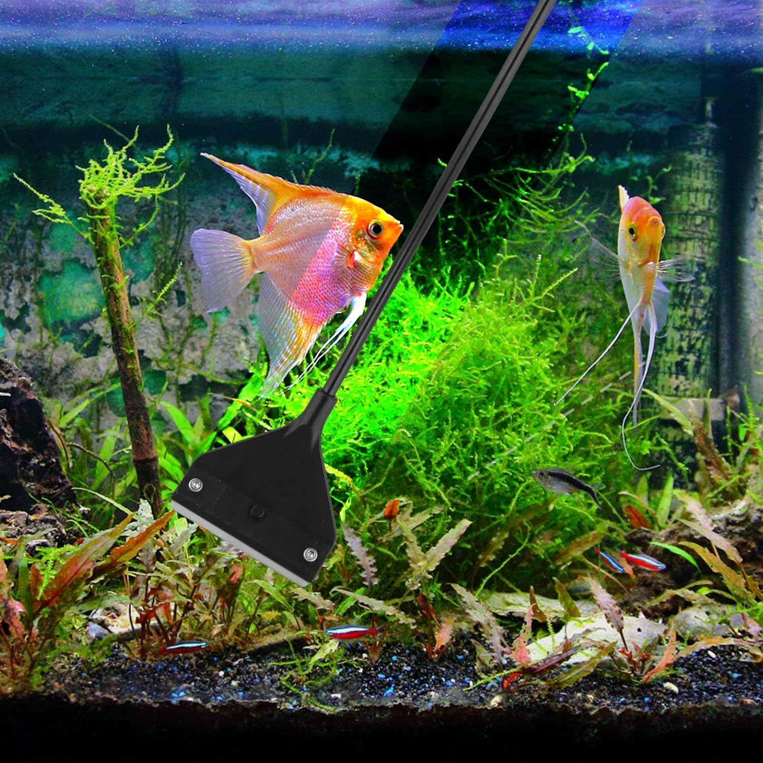 Fish Tank Scraper, 25PCS Algae Remover Fish Tank Glass Cleaner with 20 Replaceable Blades, Aquarium Glass Scraper Fish Tank Scraper Cleaner Long Handheld for Fish Reef Plant Glass Aquarium Cleaning image number 6