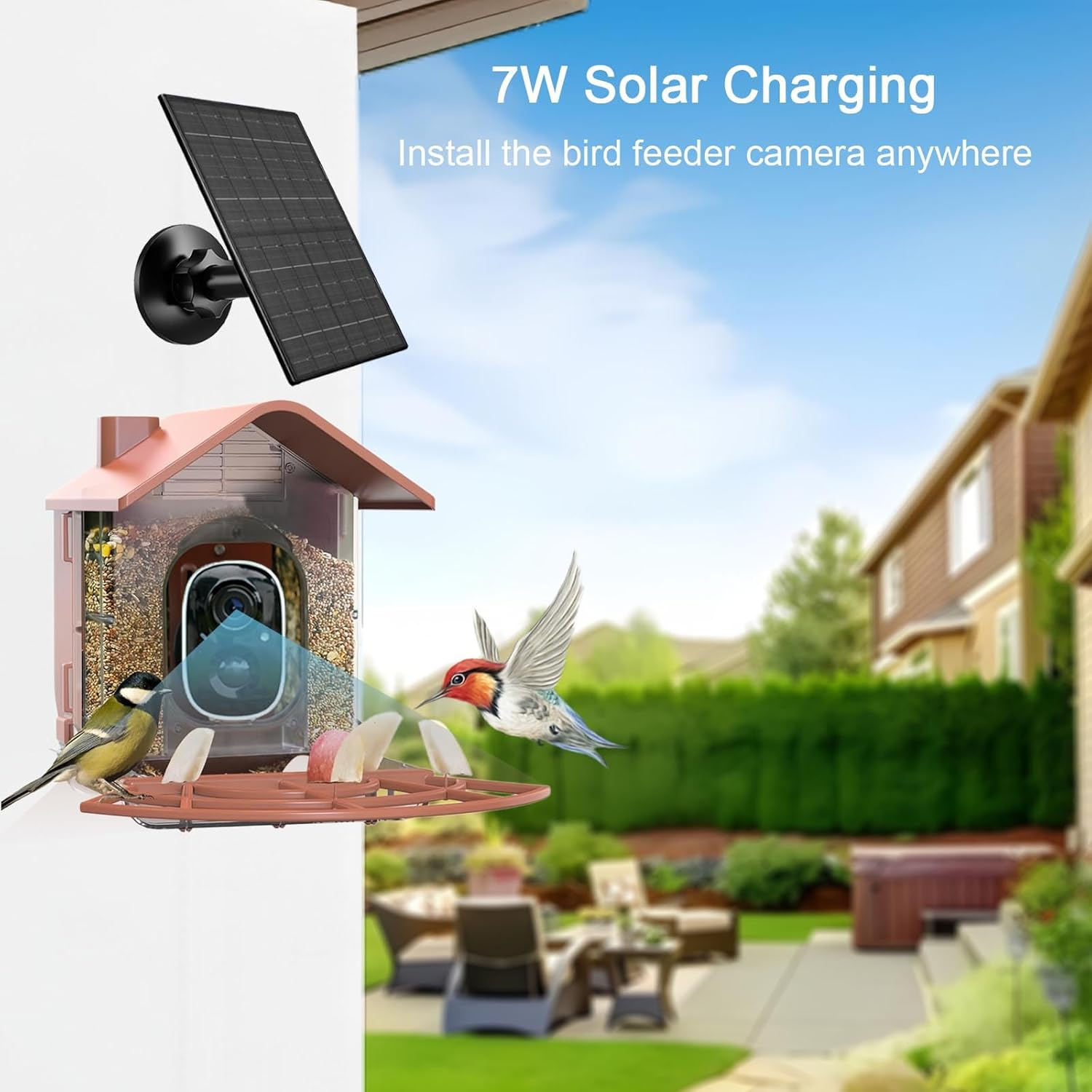 Vuebee Smart Bird Feeder Camera, Solar Powered Bird Feeder, Automatic Video Capture & Motion Detection, with AI Identify Function - Compatible With Blink Outdoor Camera image number 6