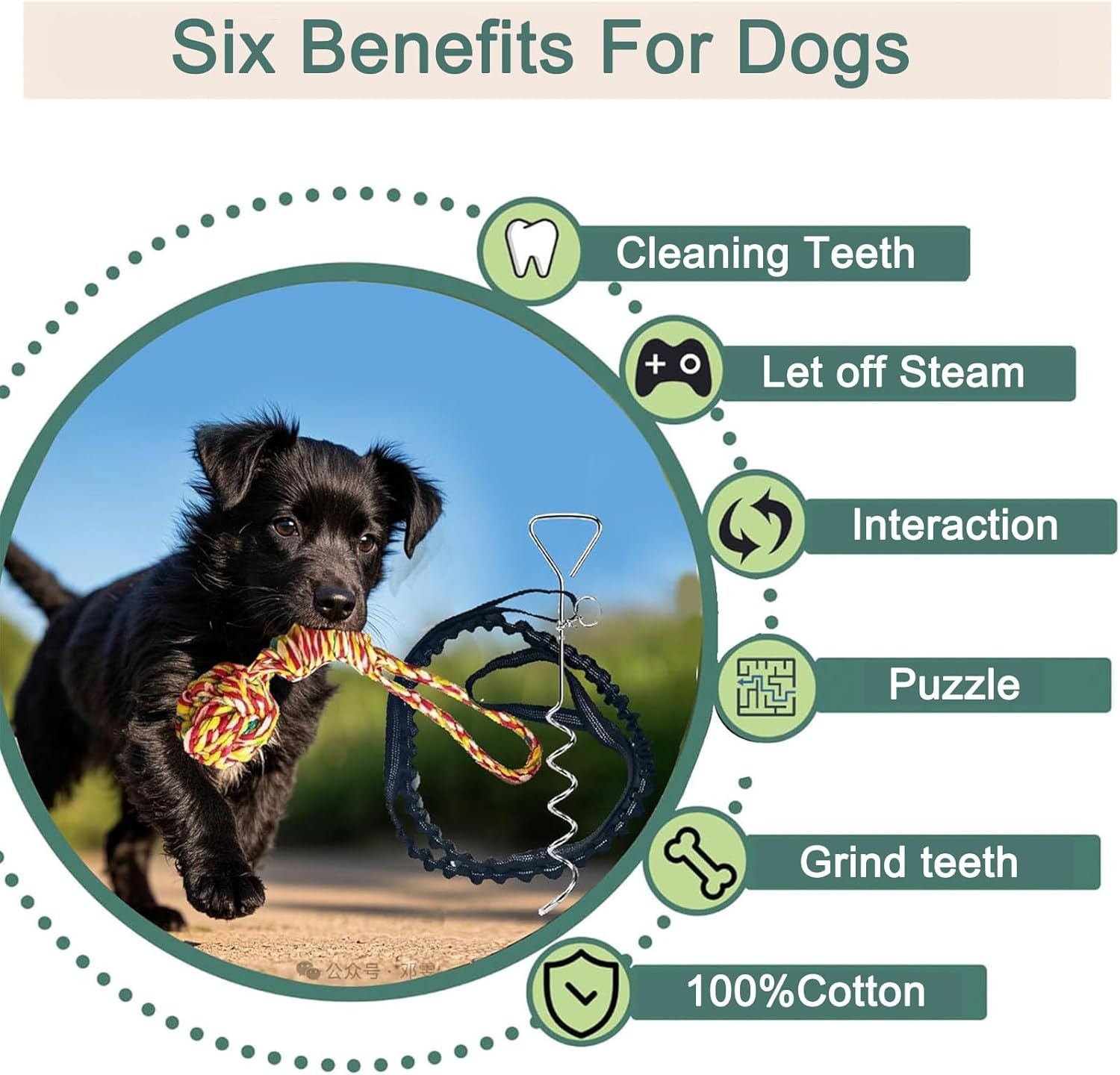 Heavy Duty Dog Bungee Tug Toy - Outdoor Interactive Play for Small/Medium/Large Dogs with Ground Stake for Lawns & Trees