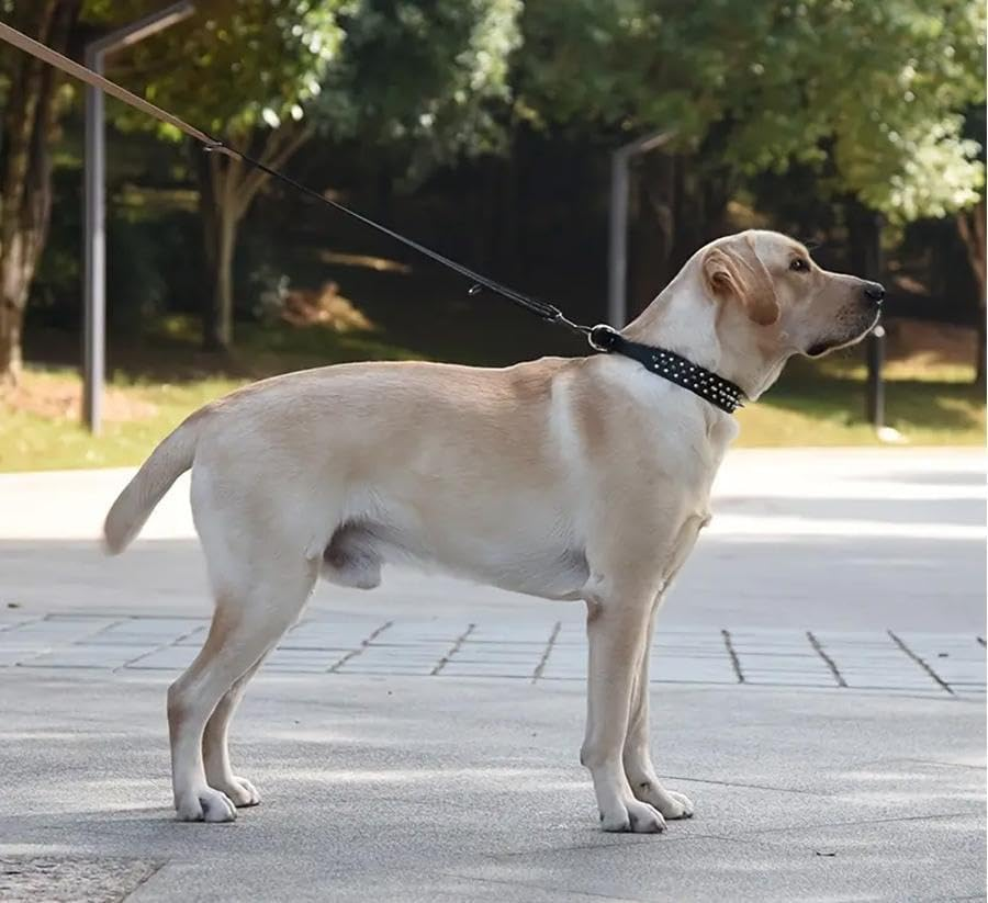 Pet Collar Rivet Studded Adjustable Necklace for Puppy Small Medium Dogs (Baby Blue, M) image number 3