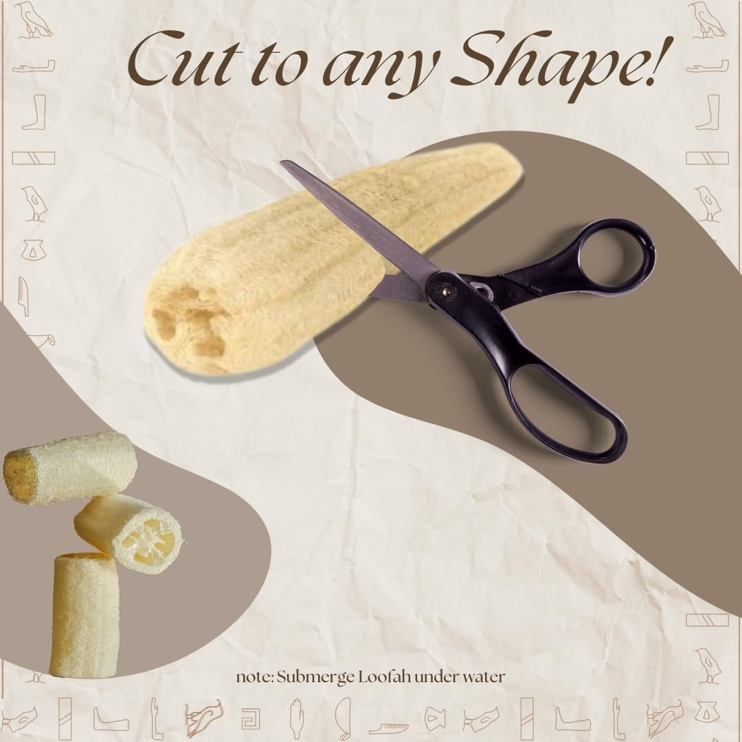 One Whole Egyptian Loofah 100% Natural SPA Beauty Bath Sponge Body Scrubber Puff. Premium Quality Lofa Loofa Luffa Loffa for Exfoliating Your Skin. image number 4