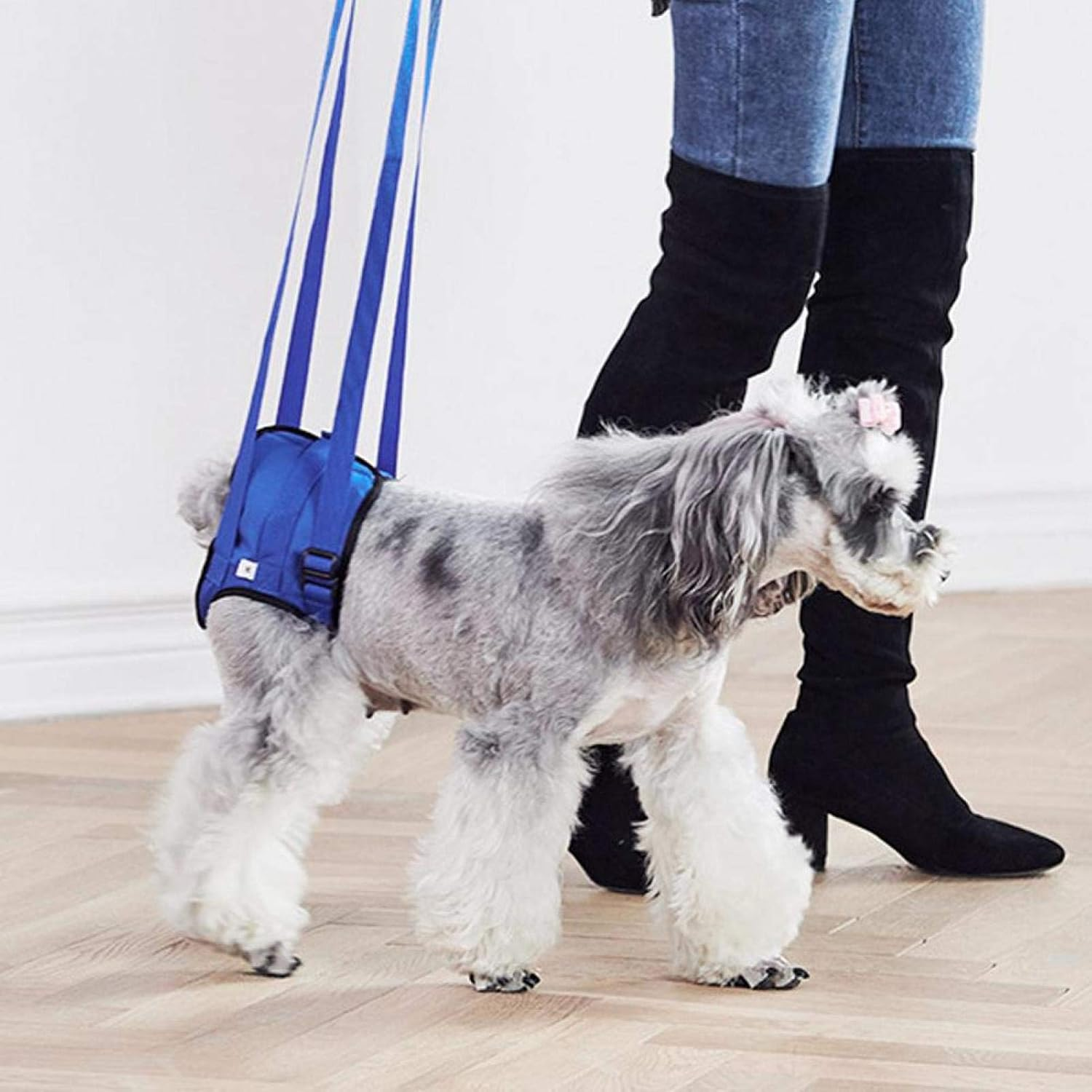 Pets Dog Support Harness Rear Lifting Harness for Hip Assist Injured Disabled Pet, Pet Supplies for Dog(Xxl) image number 2