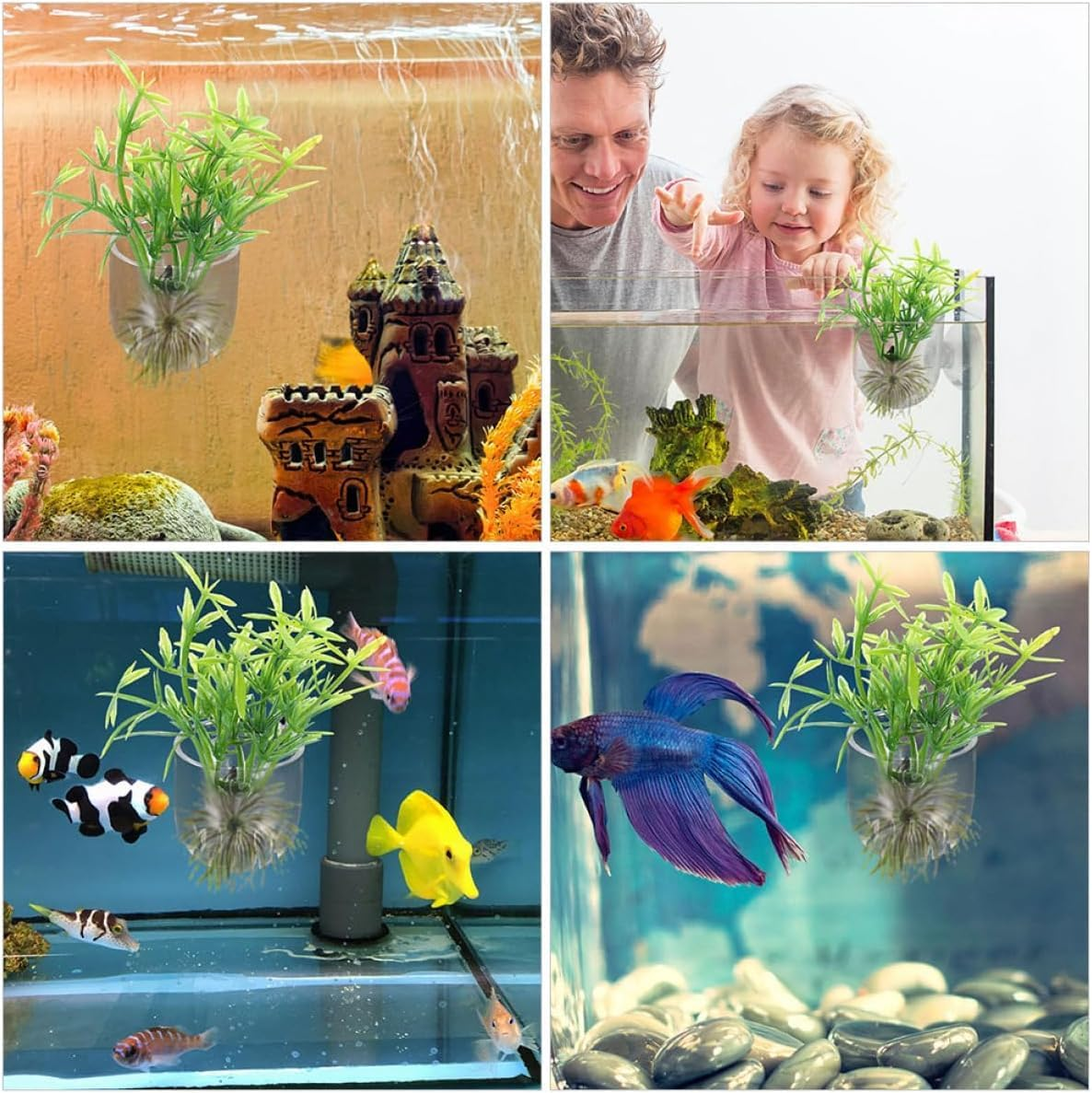 Acrylic Aquatic Plant Holder with Suction Cup, 8Pcs Crystal Glass Aquatic Plant Pot with Suction Cup,Aquatic Plant Cup Pots Acrylic Water Plant Cup with Suction Cup,Aquatic Plant Cup with Suction Cup