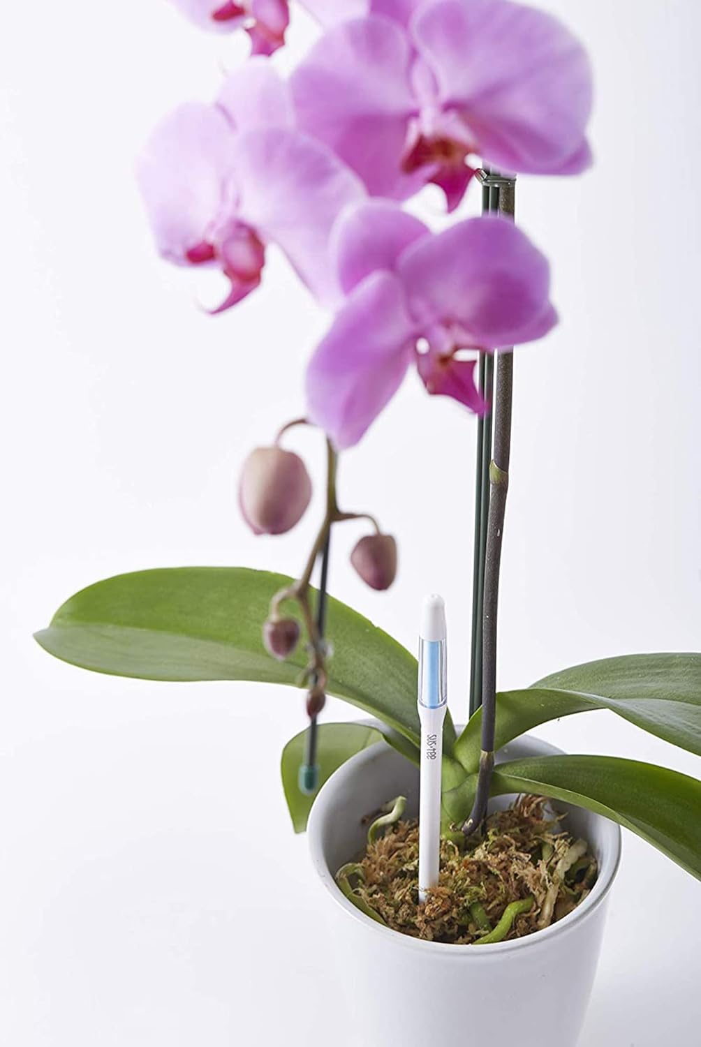 Sustee Aquameter, Moisture Sensor Refills, Bundle of 10 Core Inserts (5 Packs of 2) - Small