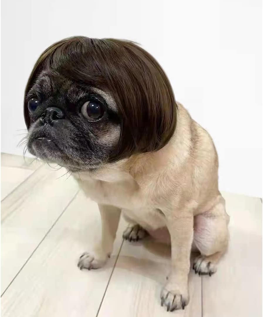 Funny Dog Cat Cosplay Wig, Pet Wigs for Halloween, Christmas, Parties, Festivals, Dog Wigs for Small Medium and Large Dogs (Black Brown Straight Hair) image number 3