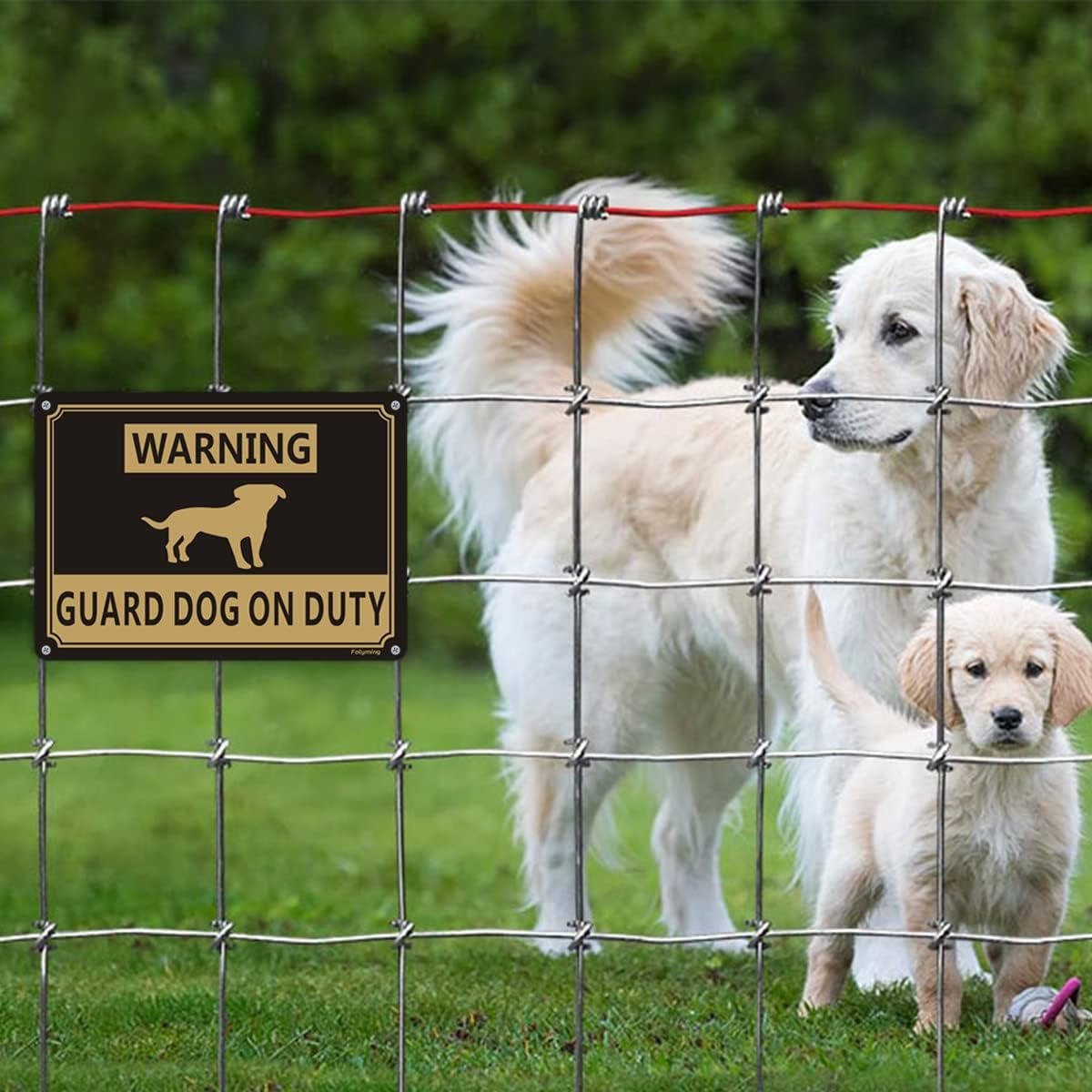 2 Pack Warning Guard Dogs on Duty Signs 10X7 Inches Dog Warning Yard Signs Metal Reflective Sturdy Rust Aluminum Waterproof Easy to Install
