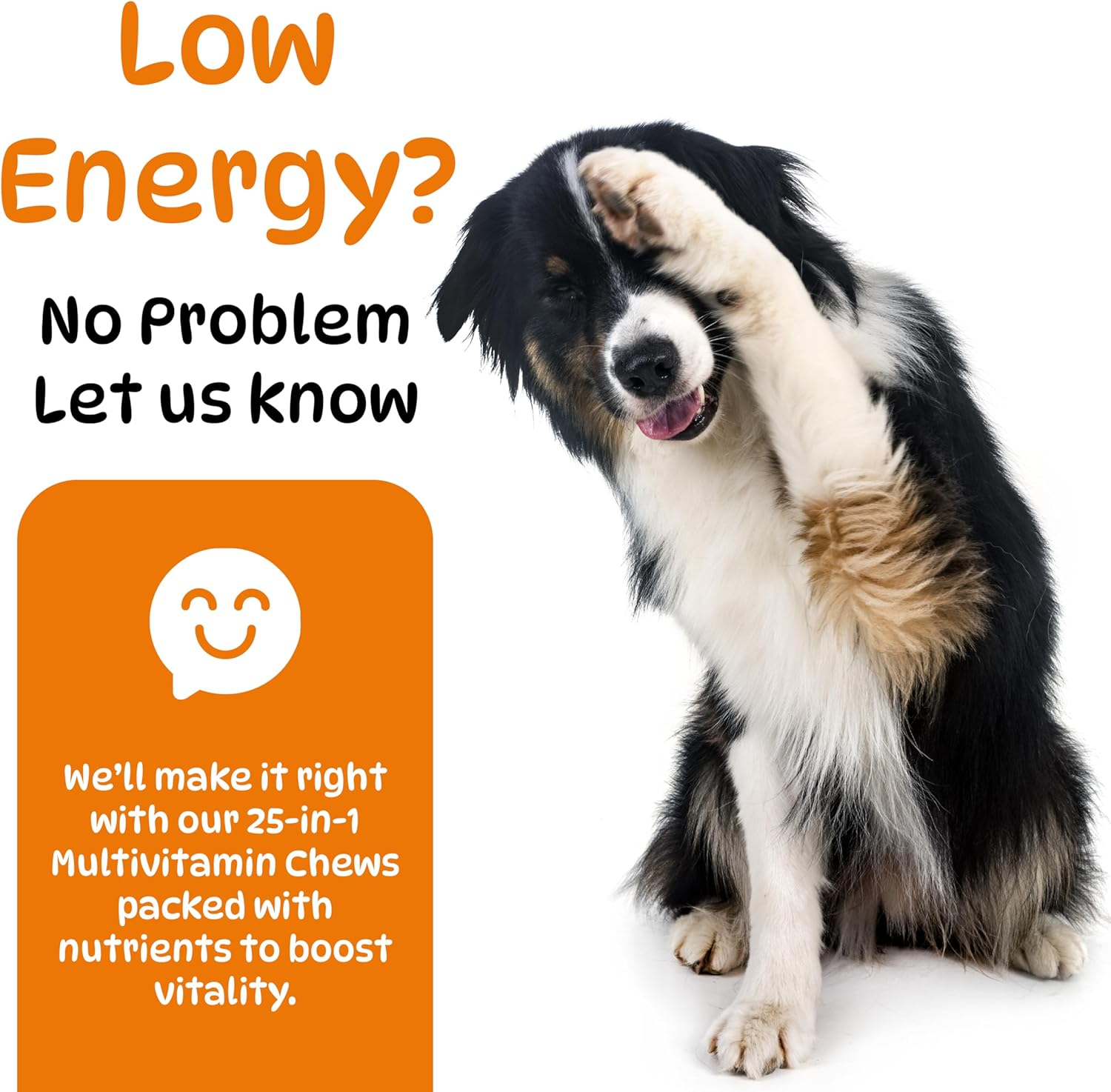 25 in 1 Multivitamins for Dogs, Dog Supplements, Minerals with Omega 3 Fish Oil, Glucosamine, Chondrian & Zinc for Joints, Digestion, Heart, Skin & Coat Care, (100 Soft Chews - Chicken Flavor)