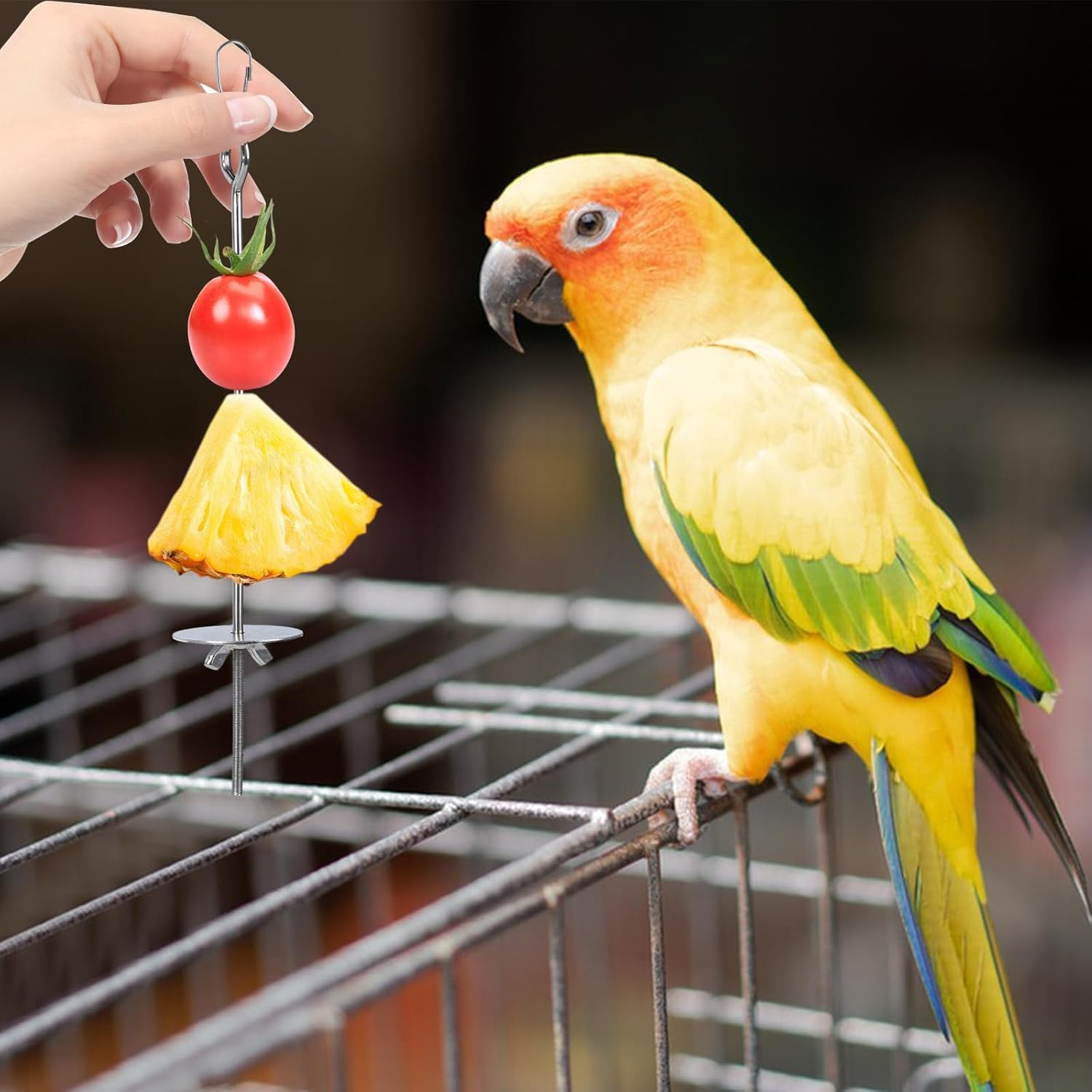 Stainless Steel Bird Treat Skewers, 4Pcs Stainless Steel Bird Treat Feeders Skewer, Parrot Fruit and Vegetable Holder, Parrot Vegetable Stick Skewers, Parrot Treats Fruit Stick Bird Food Skewer image number 2
