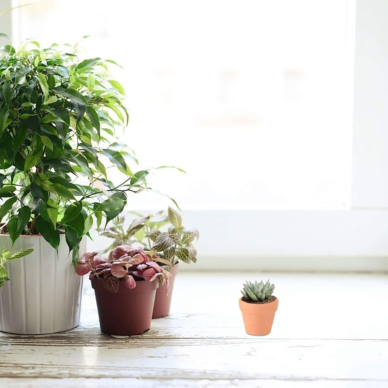 12PCS Mini Clay Pots, 1. 2 Terracotta Pot Clay Ceramic Pottery Planter, Cactus Flower Cotta Pots, Succulents Nursery Pots, with Drainage Hole, for Indoor/Outdoor Plants, Crafts image number 2