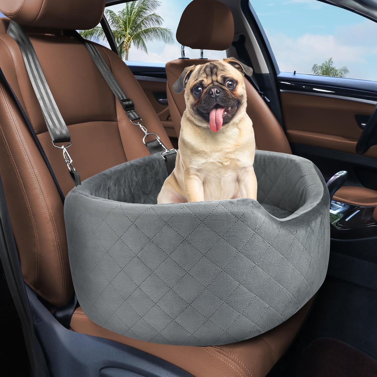 Dog Car Seat for Small & Medium Dogs, Elevated Dog Booster Seat, Detachable and Washable Pet Car Seat for Dogs up to 35Lbs, Dogs Travel Bed with Thick Memory Foam for Front and Back Seats - Black