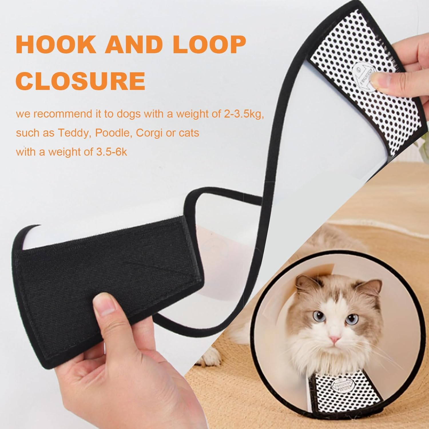 DAJING Cat Cone - Lightweight Plastic Elizabethan Collar for Cats, Mini Dogs, and Rabbits | Prevent Licking and Biting | Soft and Comfortable | Suitable for Recovery and Grooming (M, Black) image number 3