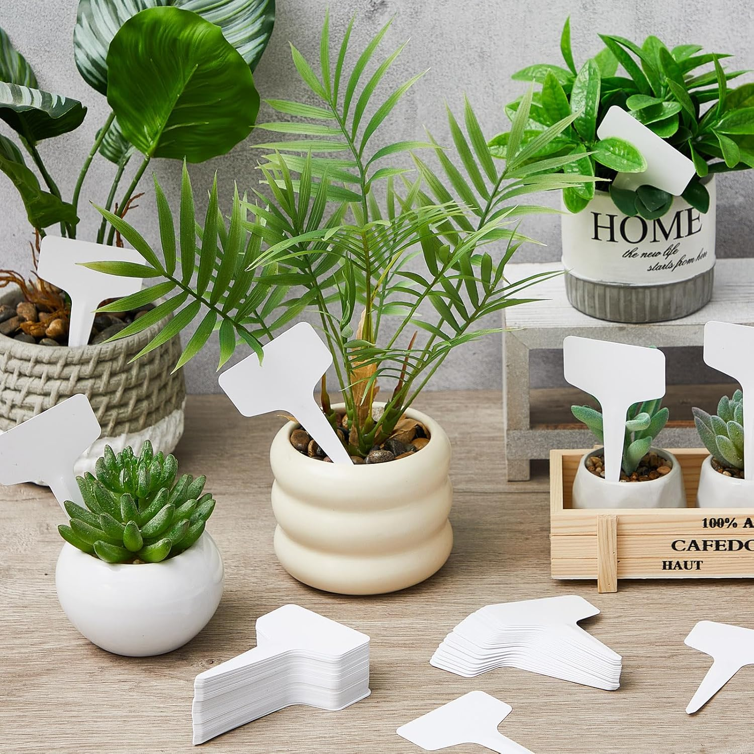 Flutesan 300 Pcs 10 X 6 Cm Plastic Plant T-Type Tags with 3 Pens Nursery Garden Labels PVC Plant Name Tags Waterproof Markers for Outdoor, White