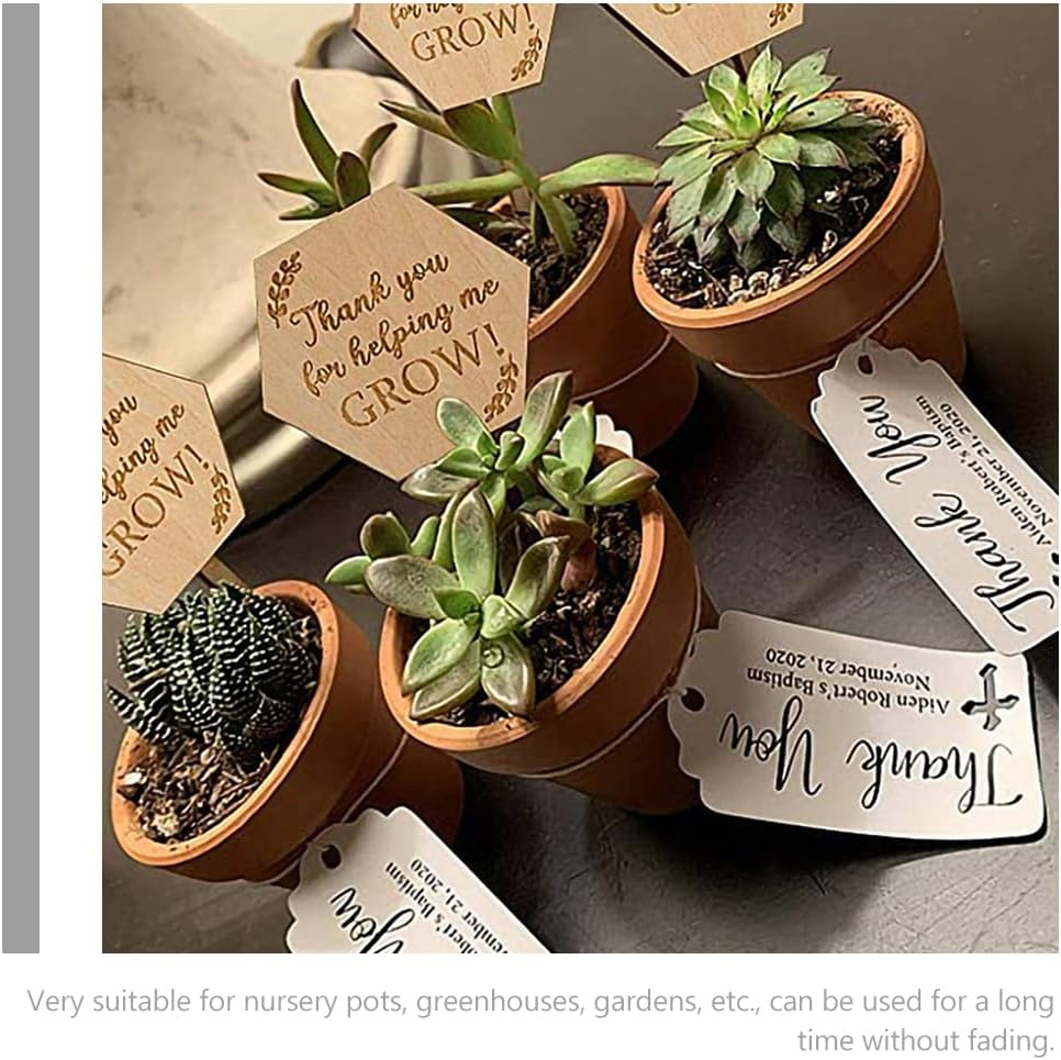 BESPORTBLE Plant Labels Plant Tags: 40Pcs Wood Plant Markers Thank You for Helping Me Grow Succulent Tags Teacher Appreciation Wooden Nursery Garden Labels for Vegetable Potted Plants image number 2