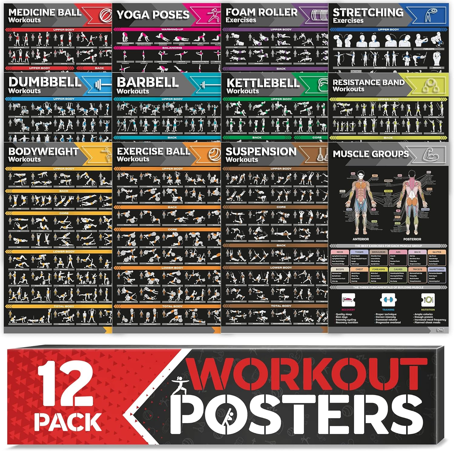 [12-PACK] Laminated Large Workout Poster Set - Perfect Workout Posters for Home Gym - Exercise Charts Incl. Dumbbell, Yoga Poses, Resistance Band, Kettlebell, Stretching & More Fitness Gym Posters image number 6
