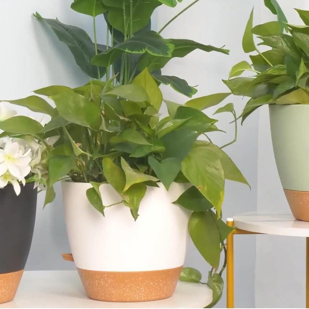 5 Pack Self Watering Plant Pots with Drainage Holes and Trays &ndash; 7/6.5/6/5.5/5 Inch Modern Decorative Plastic Planters for Indoor Outdoor Plants, Succulents, Flowers, Herbs