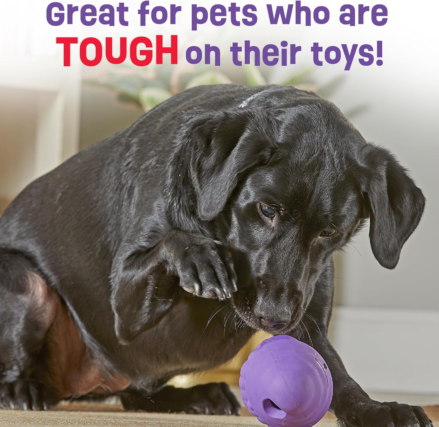 Brightkins LER9391 Dog Toy, Treats Mikke! Gnome (Large), for Medium and Large Dogs, Nosework for Snacks, Authentic Product image number 5