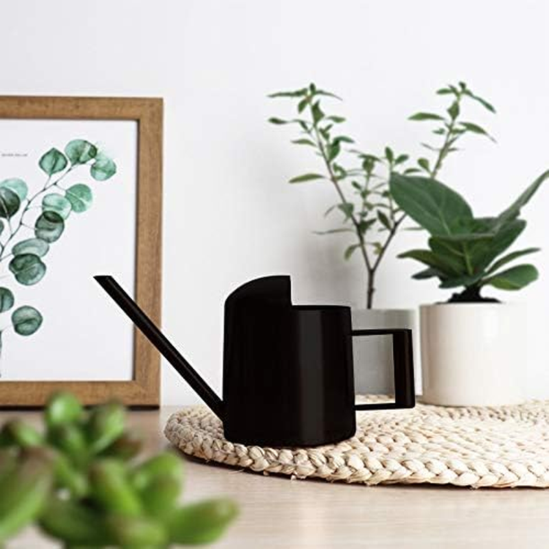 Mini Watering Can, 10Oz/300Ml Stainless Steel Long Spout Sprinkling Pot Small Watering Can for Plants, Garden Watering Pot for Indoor Outdoor Flowers, Succulents (Black)