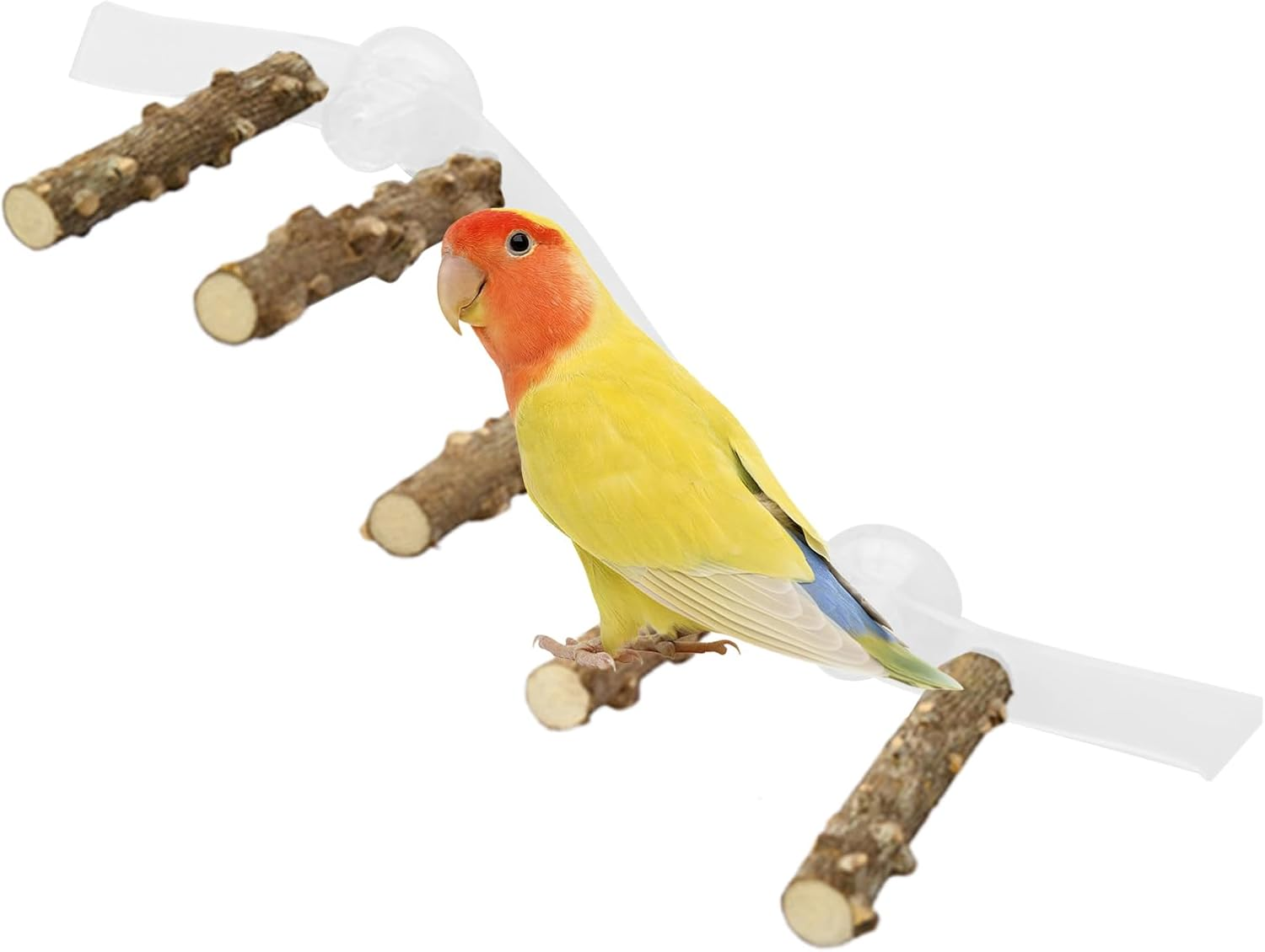 Nybhyjka Perch for Birds,Conure Climbing Ramp - Portable Suction Cup Cage Perch for Parrot, Parakeet, Conure for Home, Wall, Window