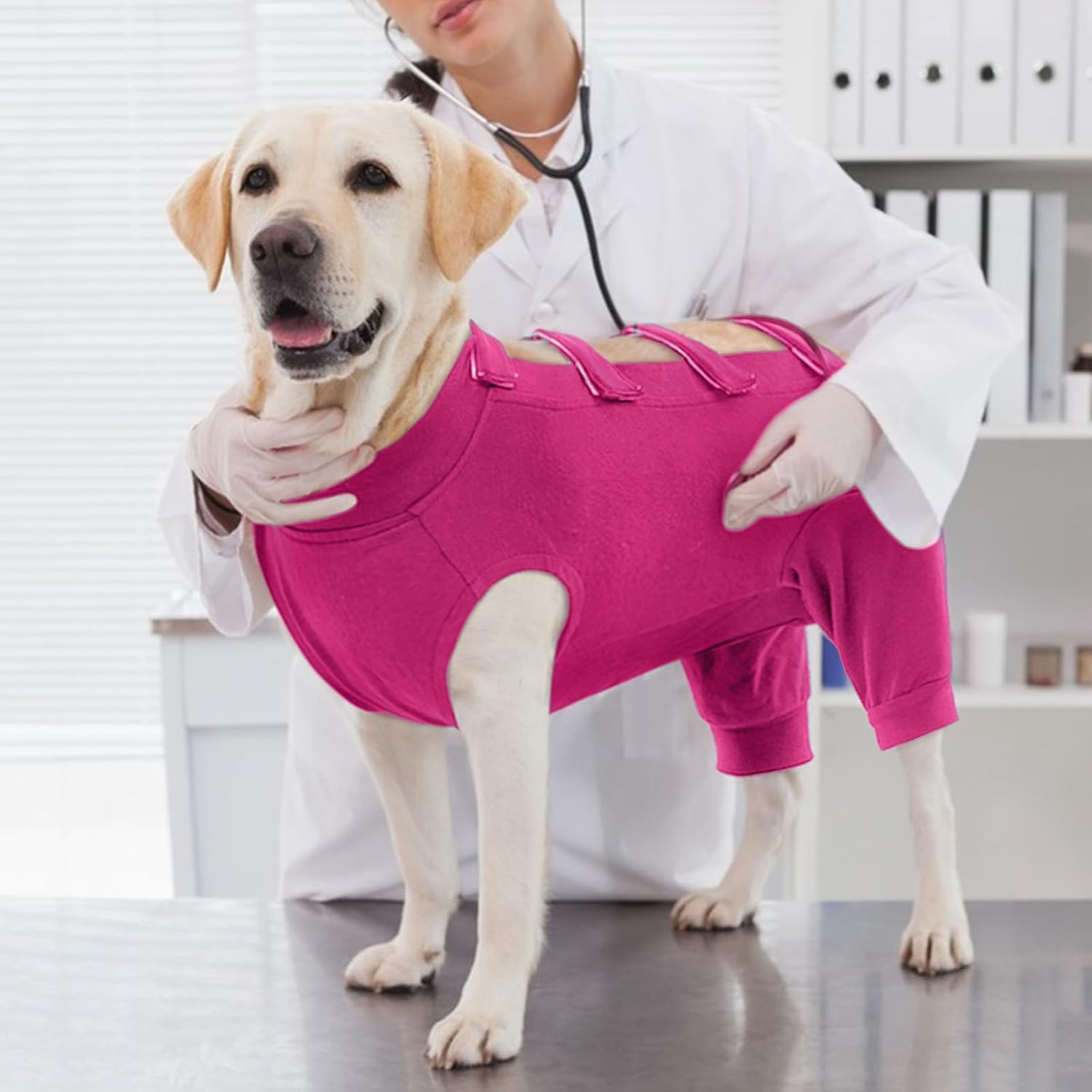 Iecoii Dog Recovery Suit - Soft Surgical Onesie for Post-Surgery Dogs, Protects Abdominal & Rear Leg Wounds, Stops Licking, L-Rosered image number 5