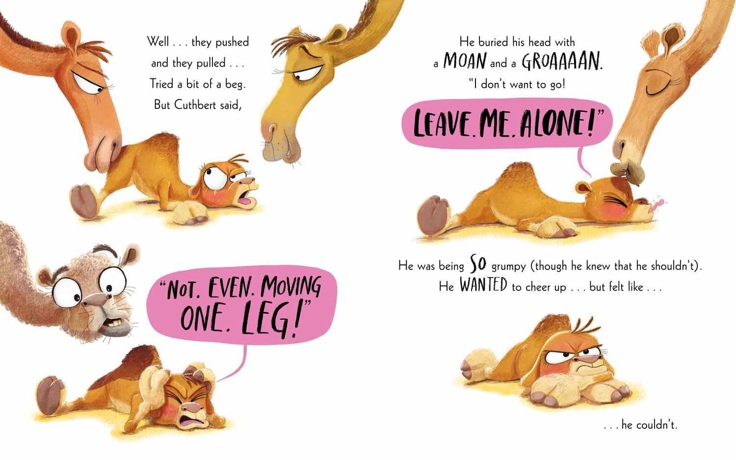 The Camel Who Had the Hump: from the World of Rachel Bright & Jim Field image number 1