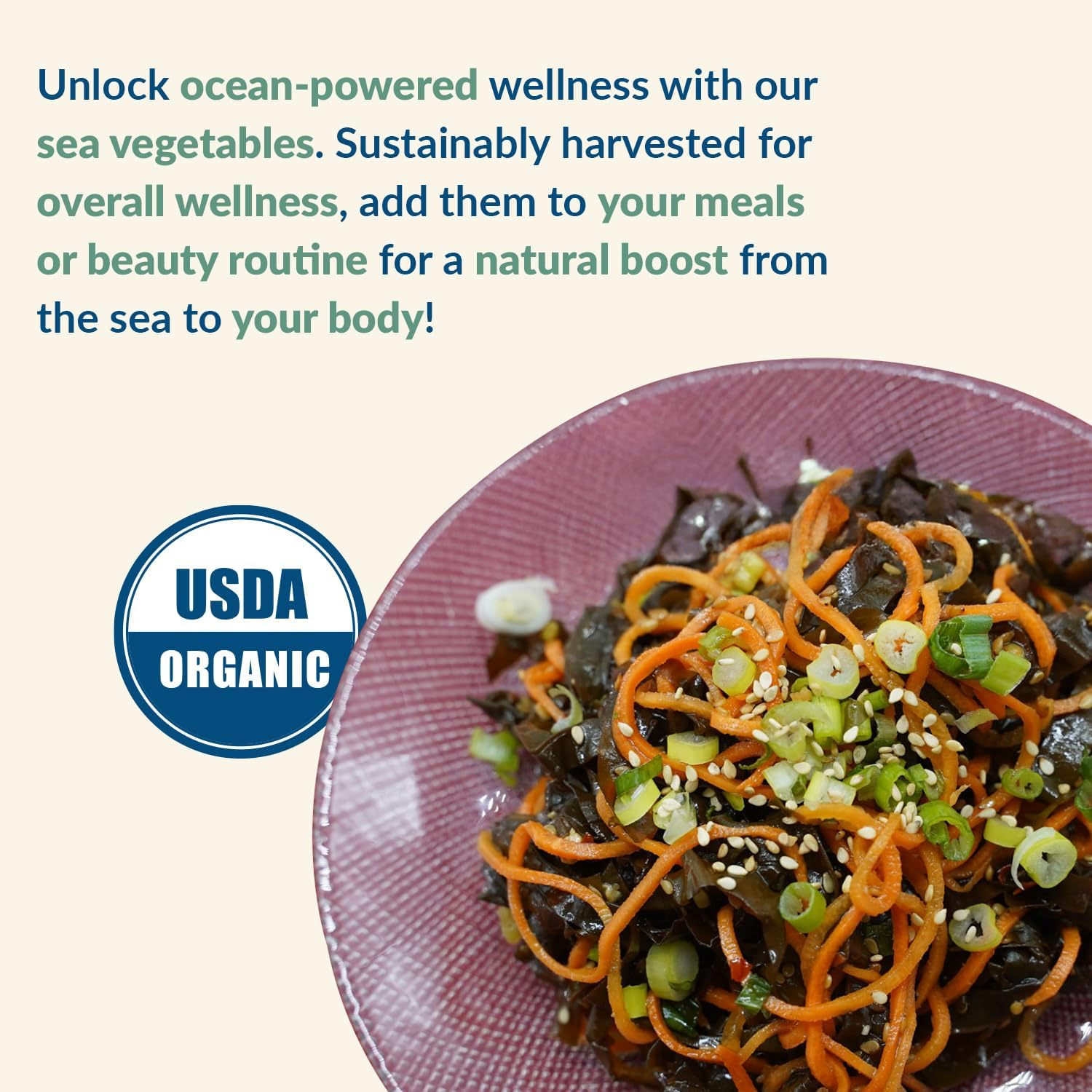 Maine Coast Sea Vegetables - Wild Atlantic Kombu Kelp - 2 Oz. image number 6