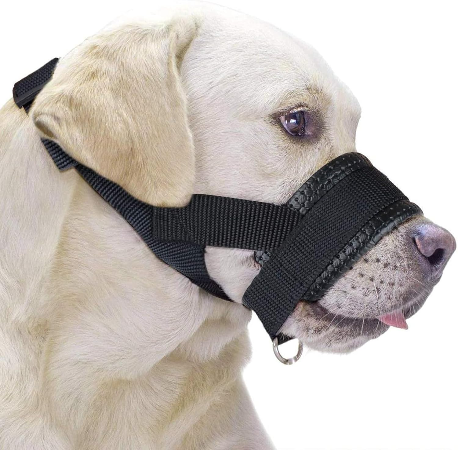 Nylon Muzzle for Dogs, Adjustable Loop, Breathable, Safe, Quick Fit for Small, Medium Dogs, Prevents Biting, Chewing and Barking image number 6