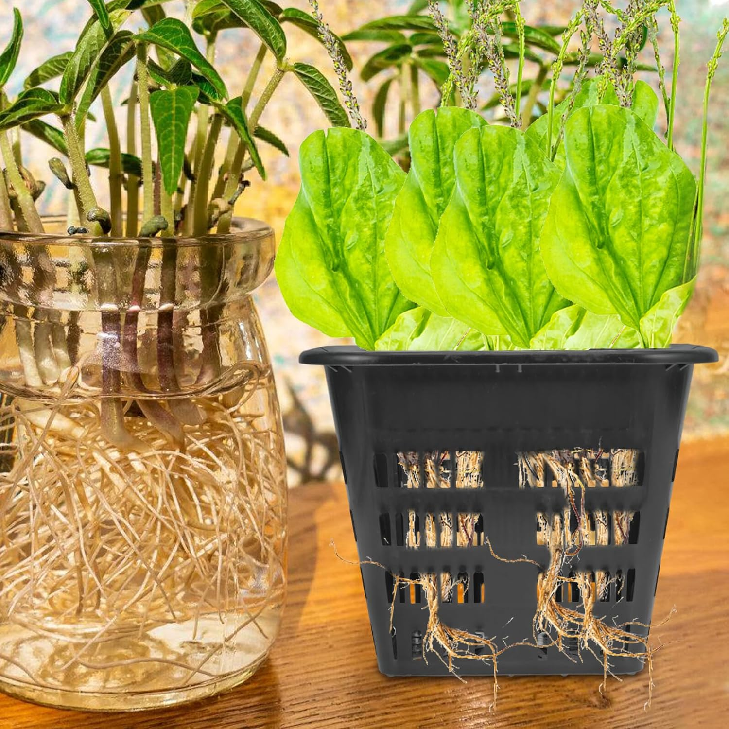 BIUDECO 8Pcs Hydroponic Net Pots with Slotted Mesh Design Reusable Plastic Planter Baskets for Vegetables and Plants Root Aeration and Nutrient Penetration Gardening Cups image number 2