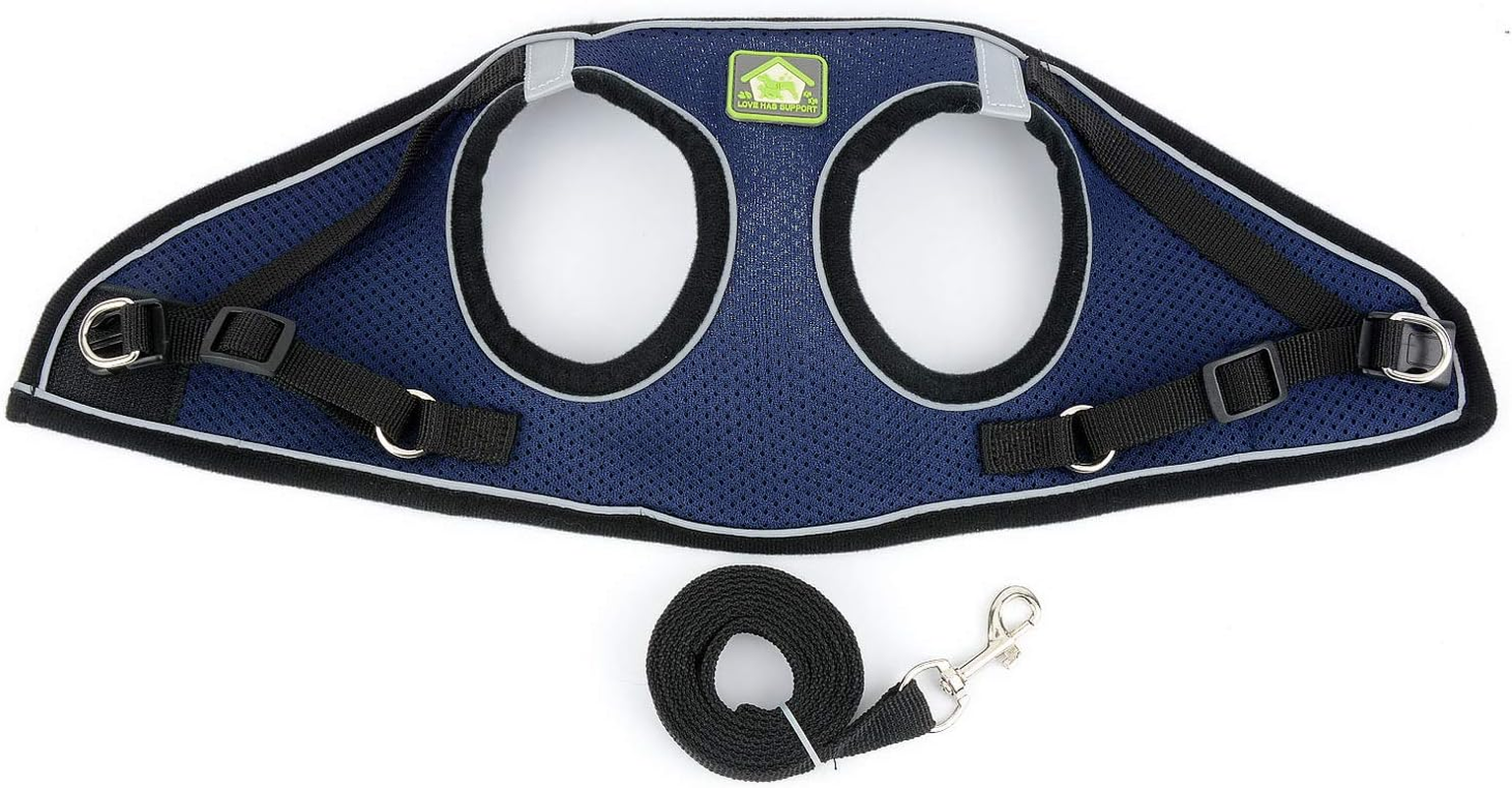 ZUNEA Small Dog Harness and Lead Set No Pull Puppy Vest Harnesses Adjustable Reflective Soft Mesh Step-In Pet Cat Harness Escape Proof for Walking, Bright Colors for Dogs Girl Boy Darkblue XL image number 5