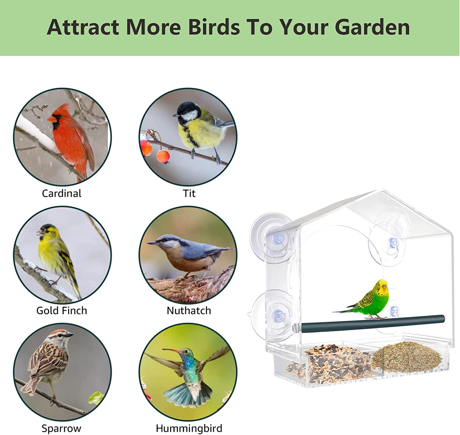 Window Bird Feeder, Bird Feeders for outside Hanging, Window Feeders for Birds with Strong Suction Cups, Bird House Shape D&eacute;cor, Fits for Finches,Cardinals,Chickadees Etc. image number 3