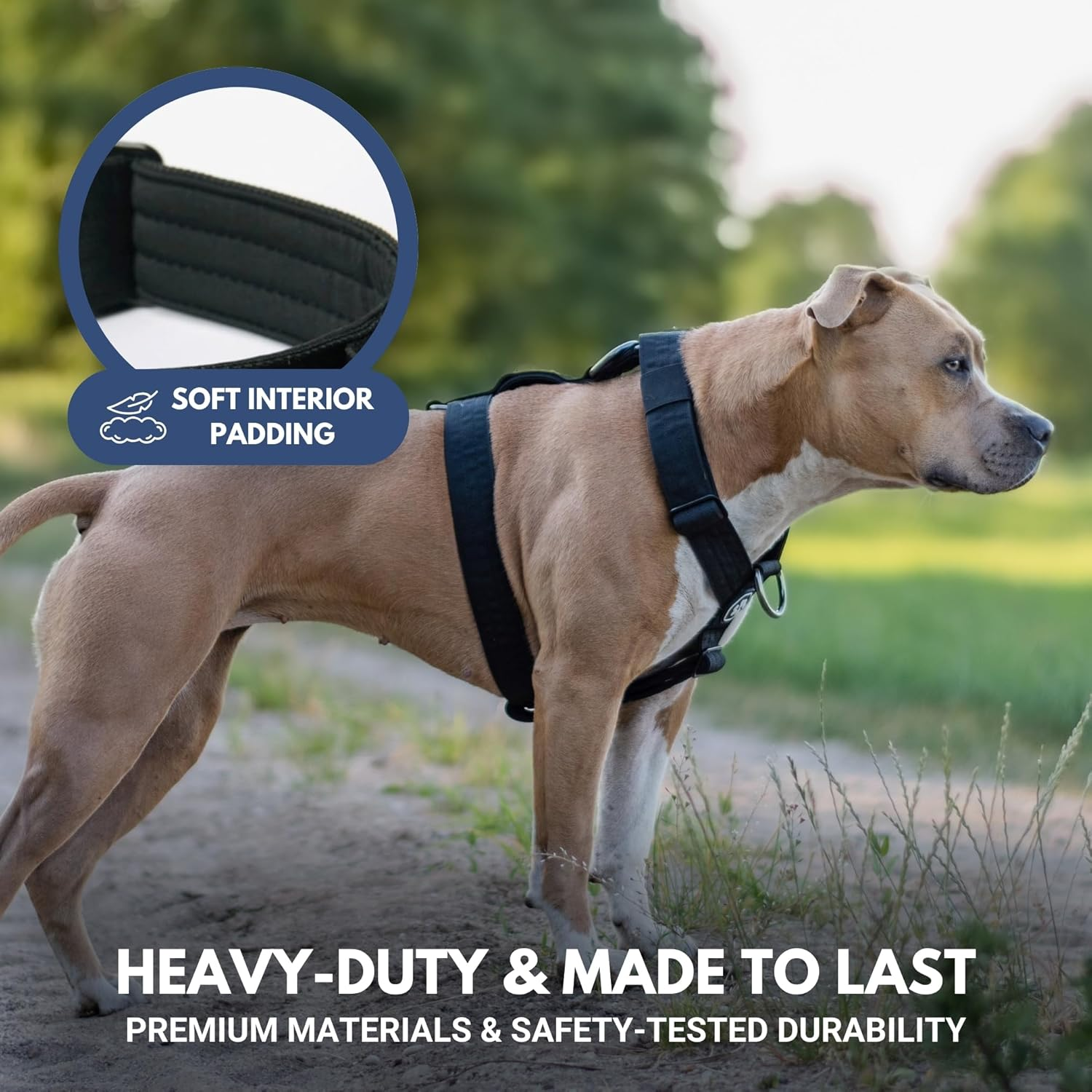 Spark Paws No-Pull Dog Harness - Designed for Safety and Control, Ideal for Large, Strong Breeds - Pitbulls, Boxers - Black, L