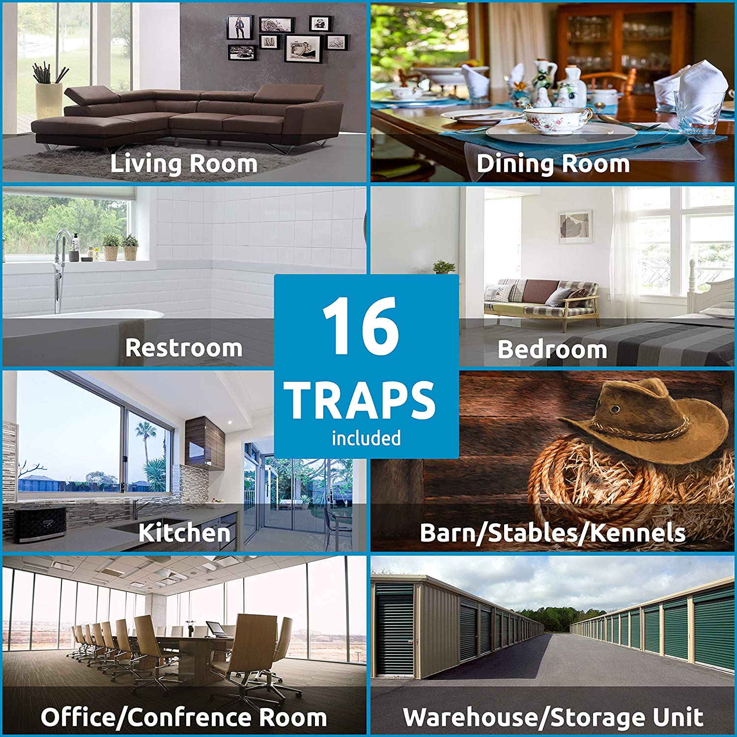 W4W Flies & Bug Window Fly Trap - Indoor / Outdoor Non Toxic Clear Window Fly Traps - 16 Pack image number 3