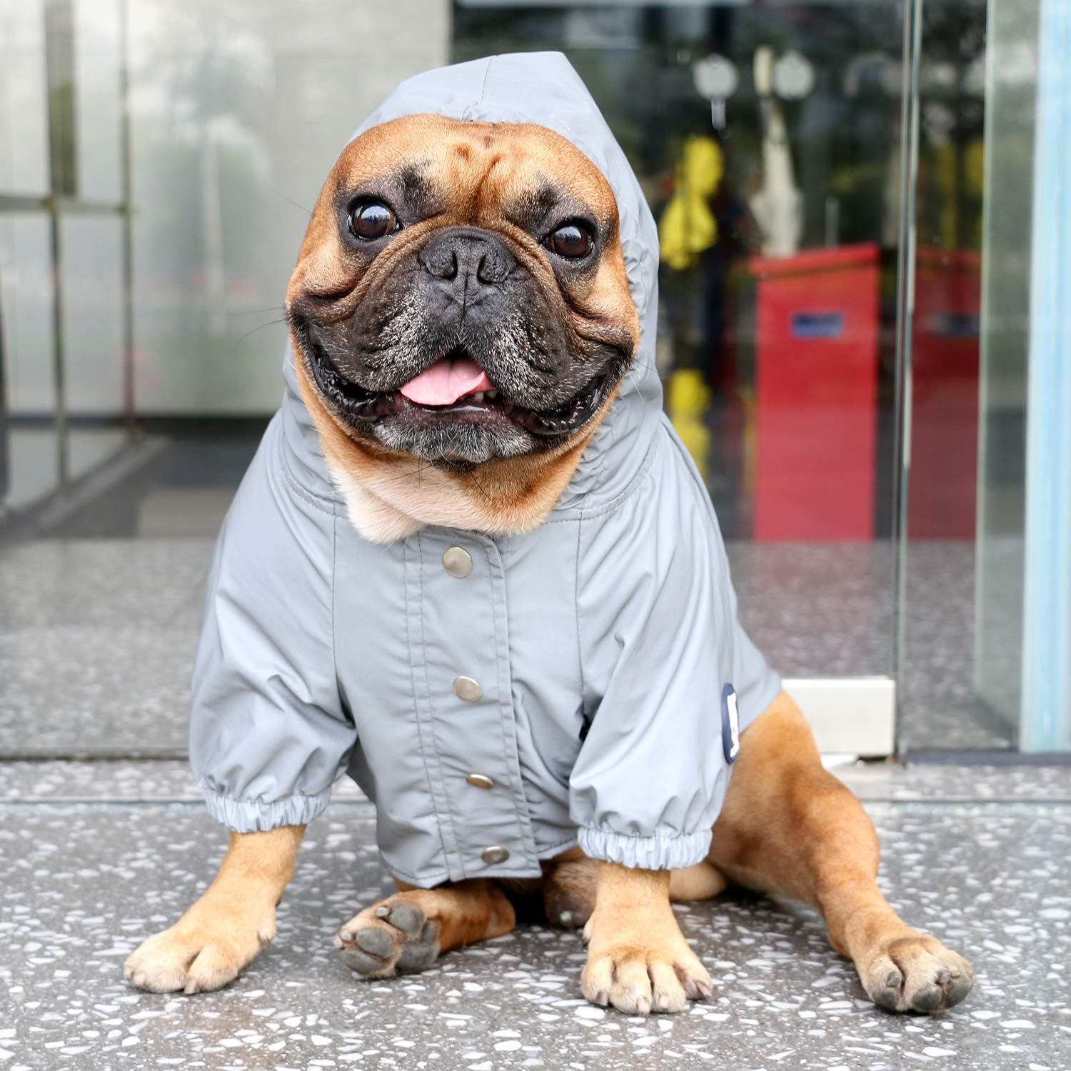 Ichoue Dog Reflective Safety Jackets Waterproof Raincoat Are All Made up of High Reflection Fabric Keep Dogs Visible Safe at Night for French Bullodg Pug- Silvery/Size S image number 3