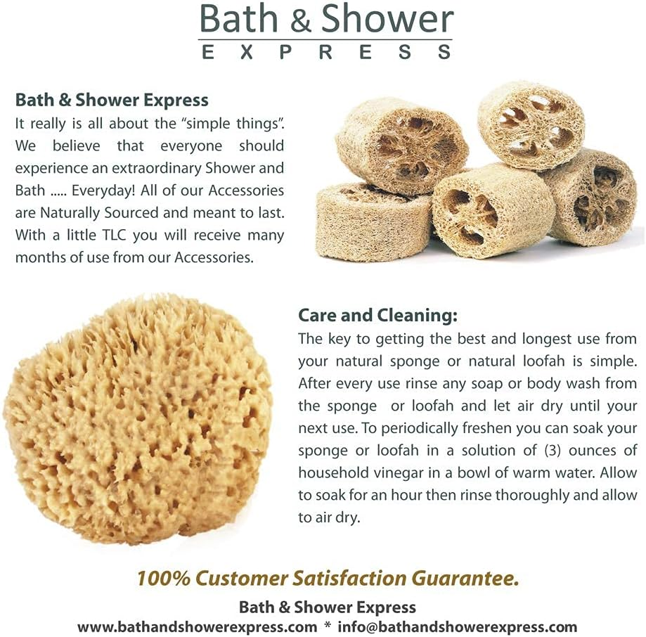 Sea Wool Sponge 13Cm - 15Cm (Large) by Bath & Shower Express a a Natural Renewable Resource image number 4