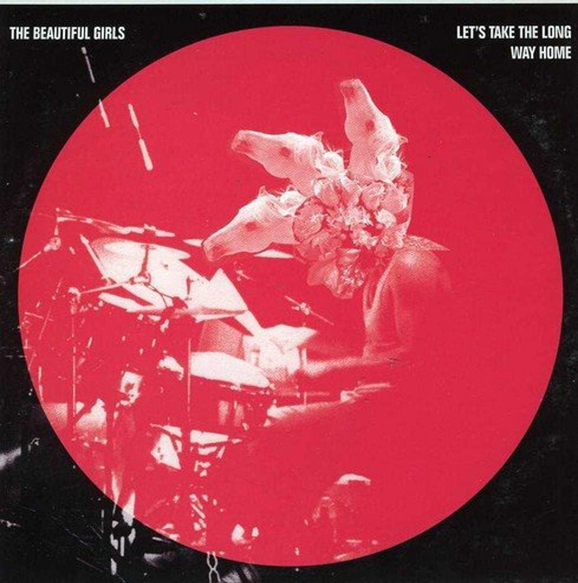 Let'S Take the Long Way Home