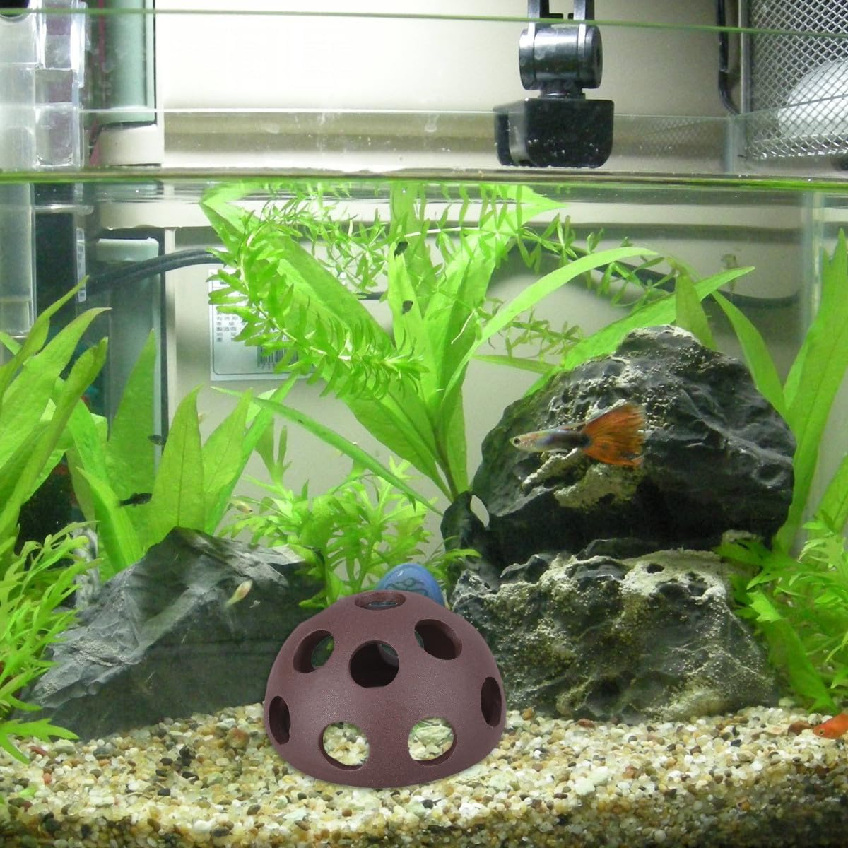 EXAOMBLE 2 Pcs Porous Ceramic Shrimp Breeding Nest Set Small Hemisphere Shrimp House for Aquarium Fish Tank Underwater Suitable for Aquatic Pets image number 4