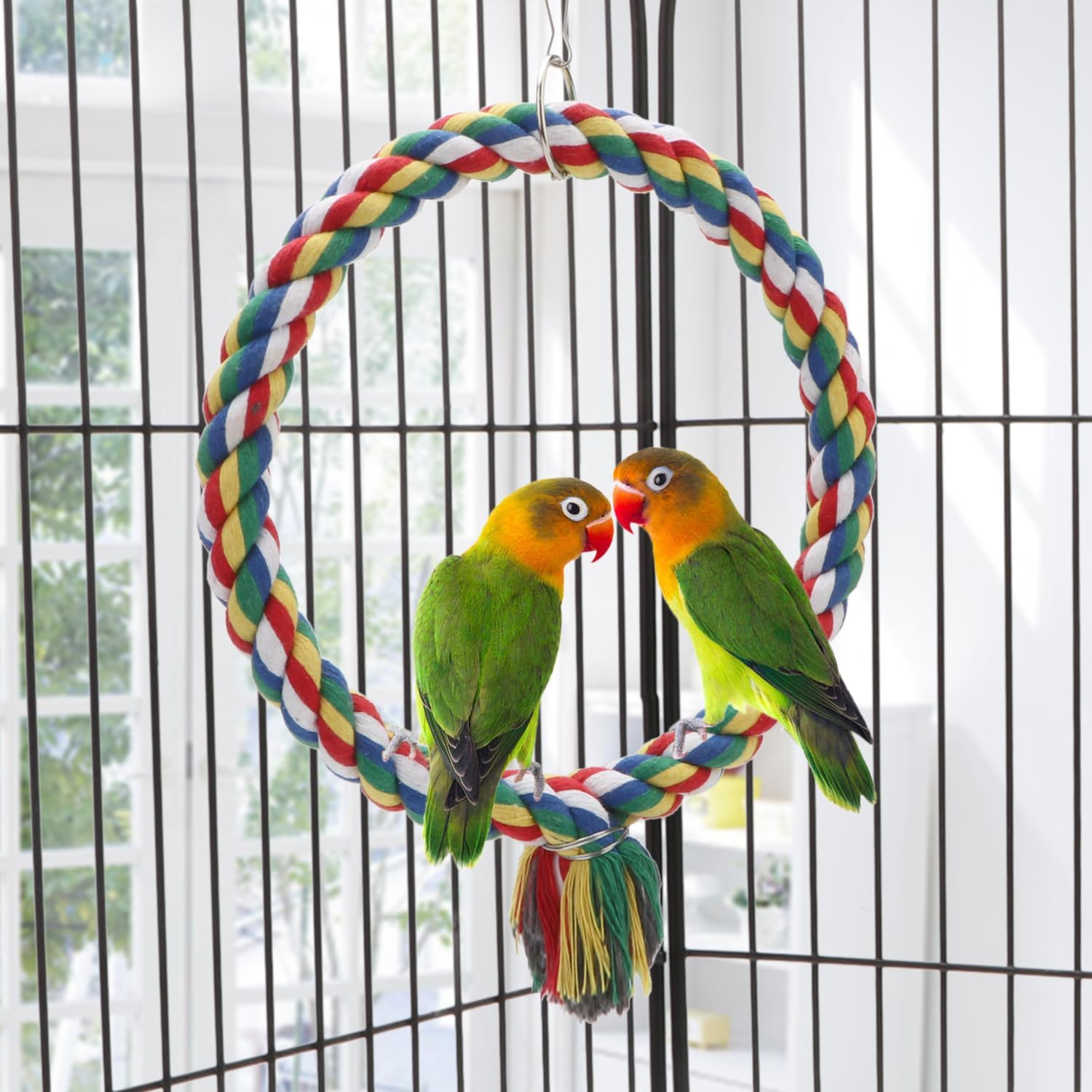 Bird Rope Swing Colorful Perch Climbing Toy for Parrots Budgie Parakeet Cockatiel Cockatoo Conure (S (7.5 Inch) image number 2