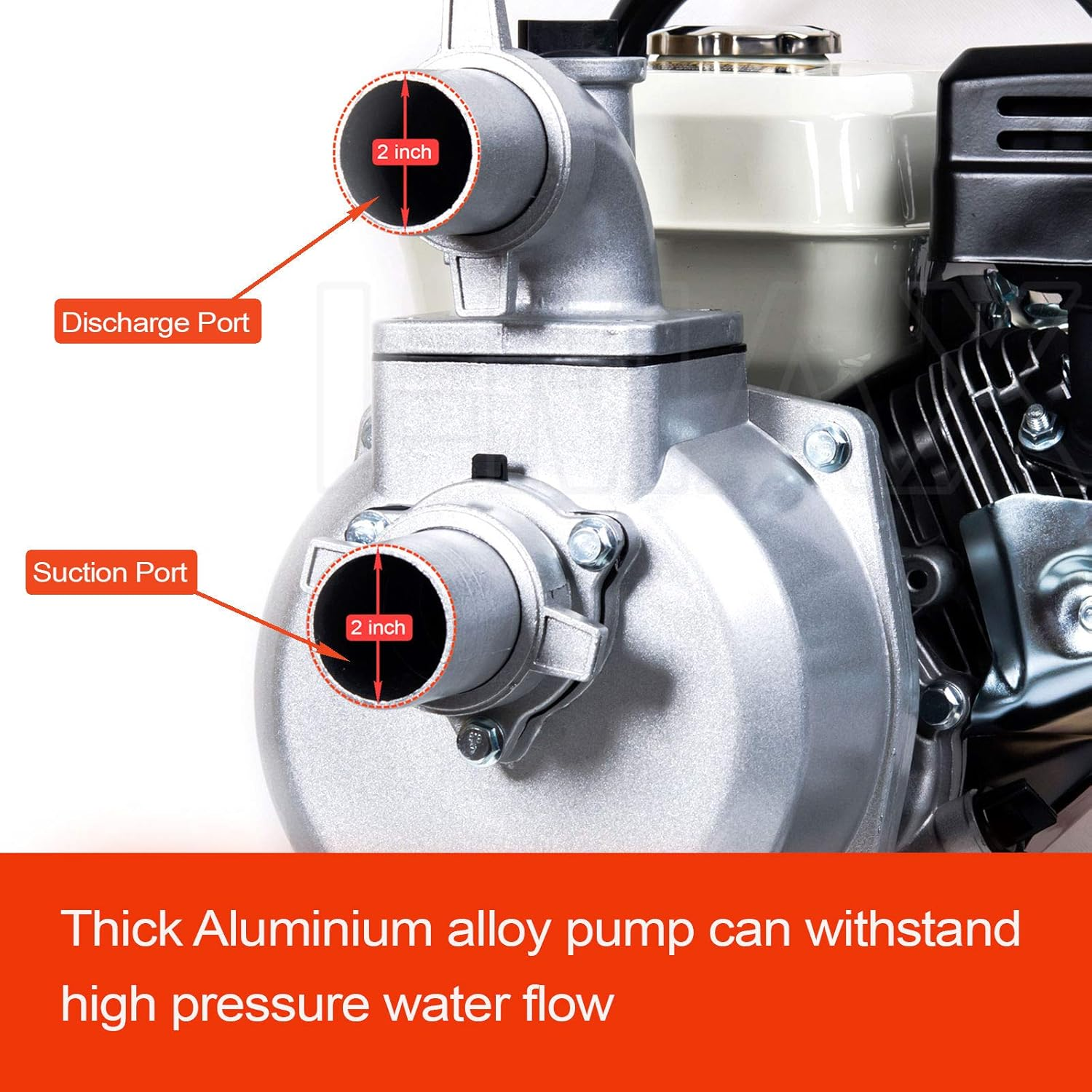 8HP Petrol High Flow Water Transfer Pump Fire Fighting Irrigation Garden 2 Inch 3 Inch 2" 3" (2 Inch)