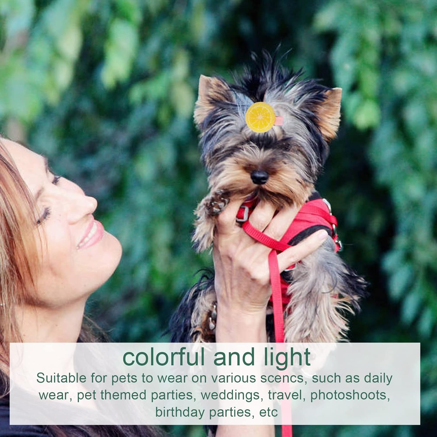 14Pcs Pet Hair Clips, Cute Colorful Beautiful Dog Hairpin, Mini Pet Hairpin Pet Hair Barrettes Hair Accessories Pet Grooming Headdress for Pet Dogs Cats Puppy Rabbits