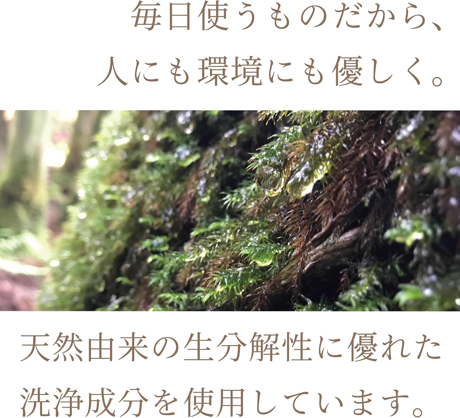 Of Cosmetics Soap of Hair ? 1-G Mini Size (Scent of Grapefruit) 60Ml