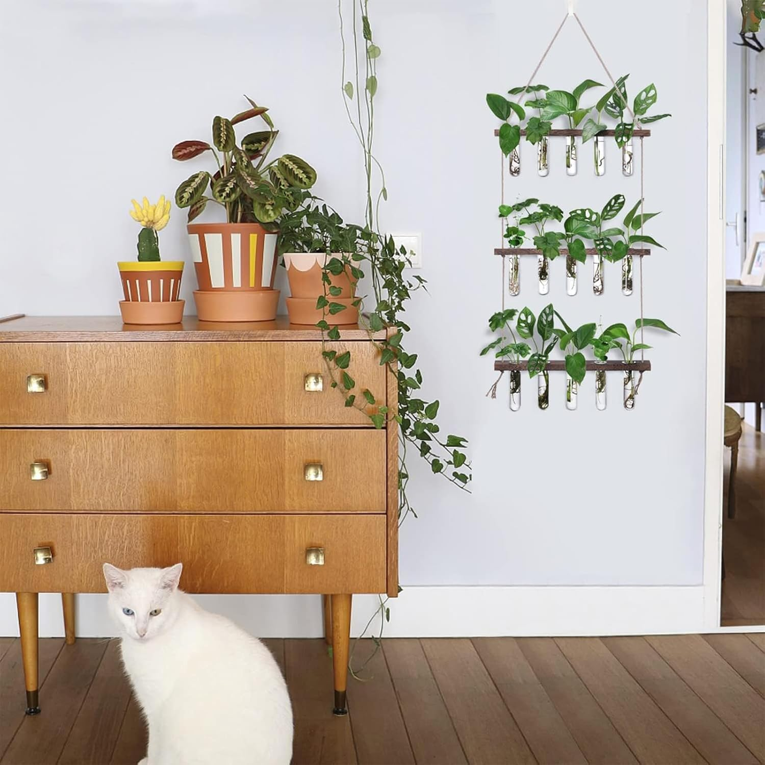 Wall Hanging Propagation Station with Wooden Stand, 5 Glass Test Tubes, 3-Tiered Planters, Wall Terrarium for Home or Office, Hydroponic Cuttings, Plant Hanger, Flower Vases Wall Decor image number 5