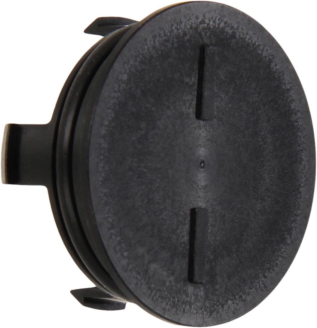 Genuine Honda 12513-P72-003 Cylinder Head Plug image number 1